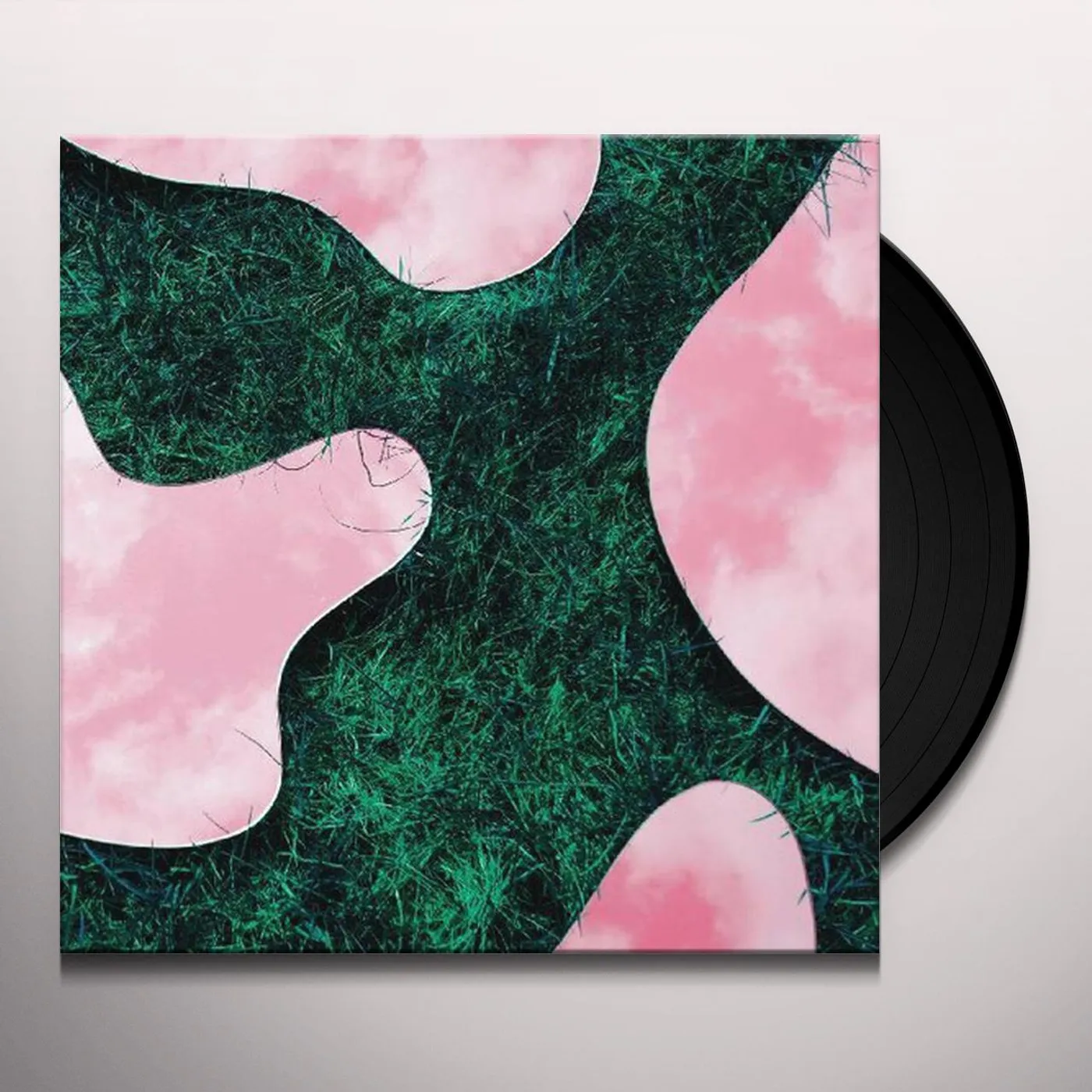 Lee Paradise & Co (LP) Vinyl Record