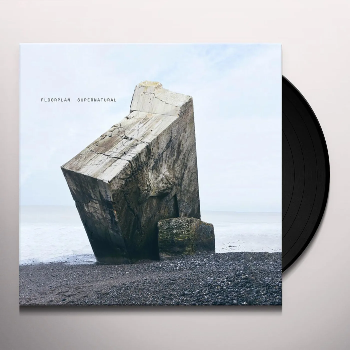 Floorplan Supernatural Vinyl Record