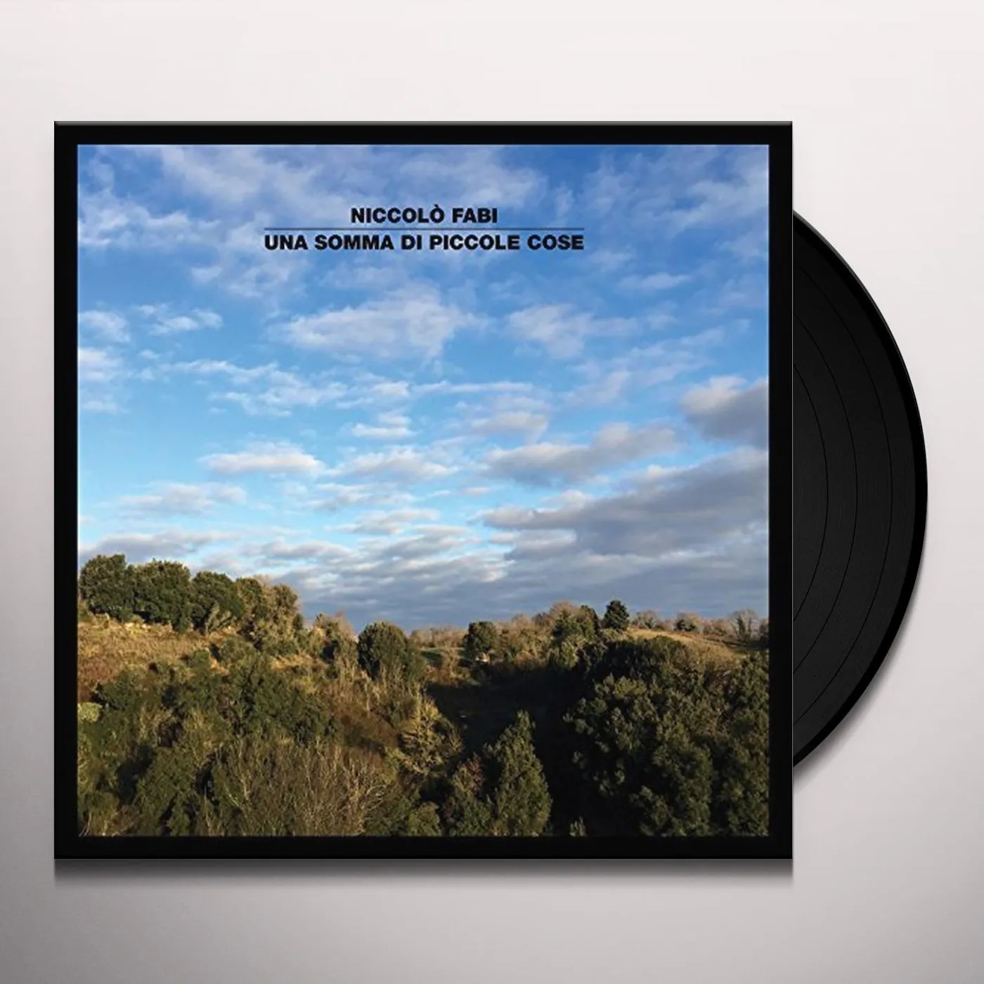 Niccolò Fabi Una Somma Di Piccole Cose Vinyl Record
