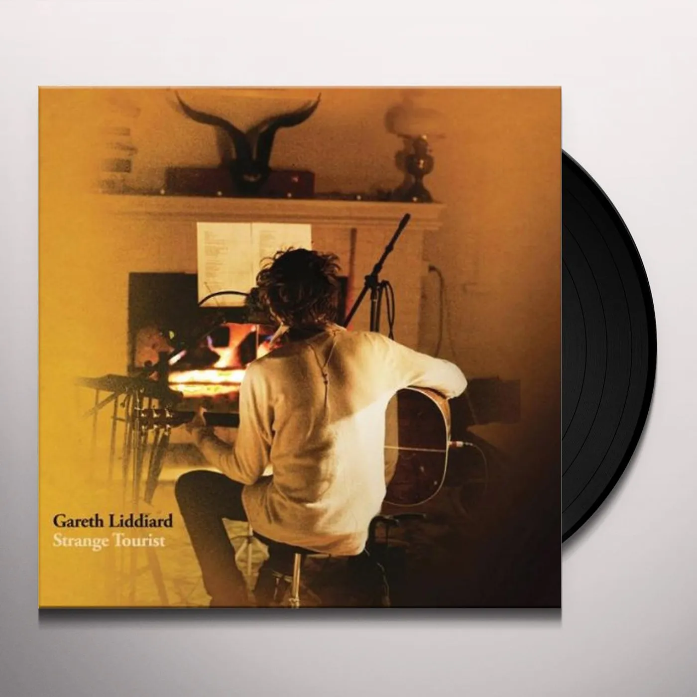 Gareth Liddiard Strange Tourist Vinyl Record