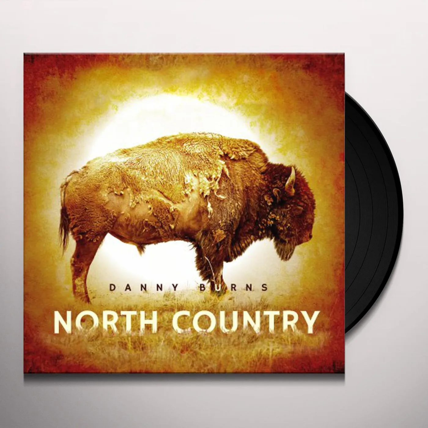 Danny Burns North Country Vinyl Record
