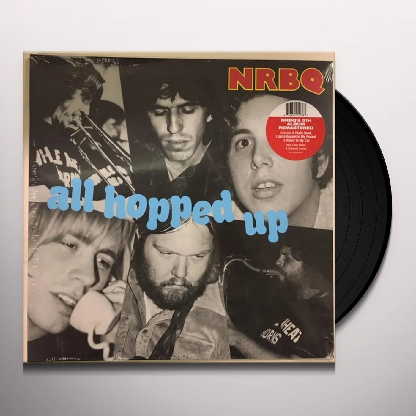 NRBQ All Hopped Up Vinyl Record