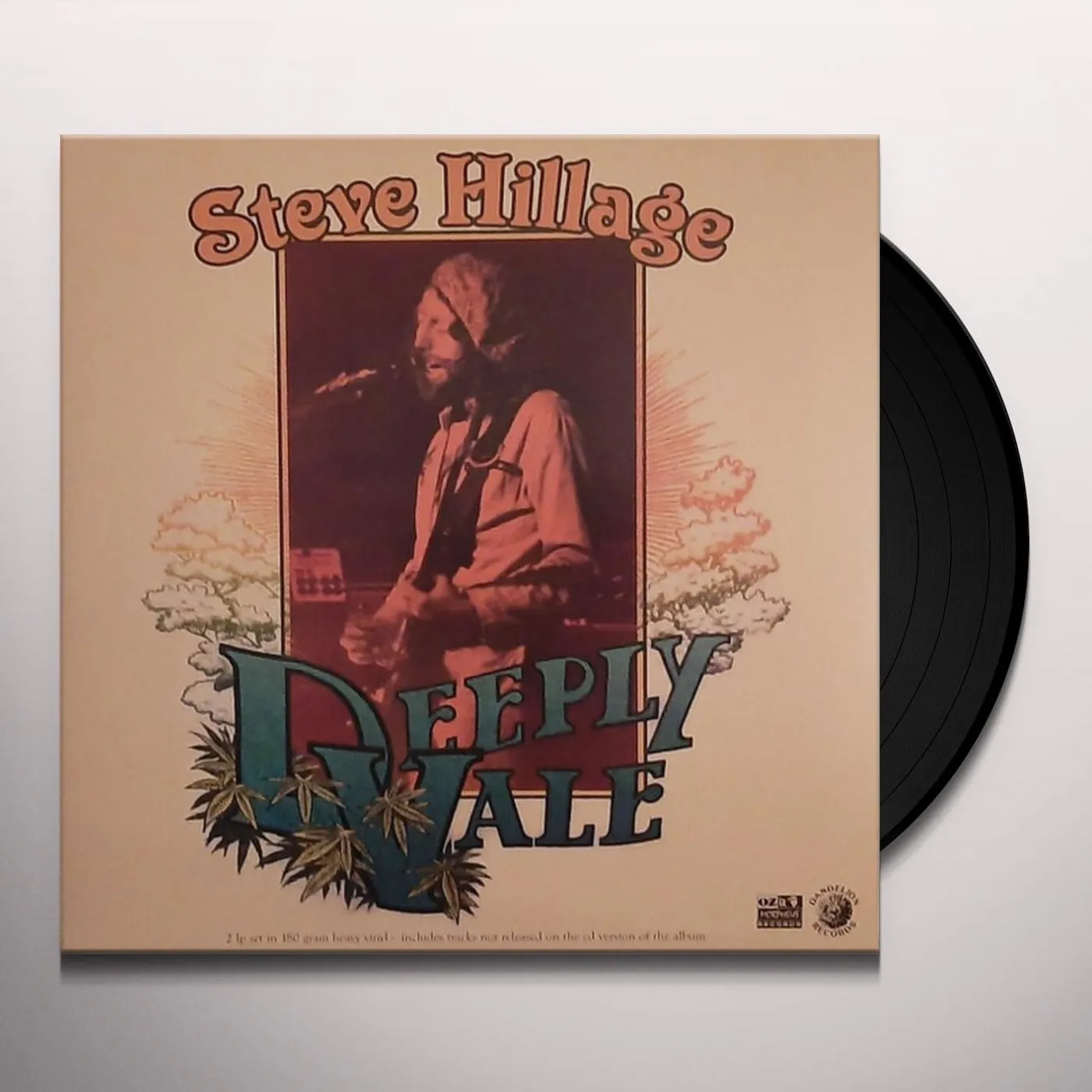 Steve Hillage LIVE AT DEEPLY VALE Vinyl Record