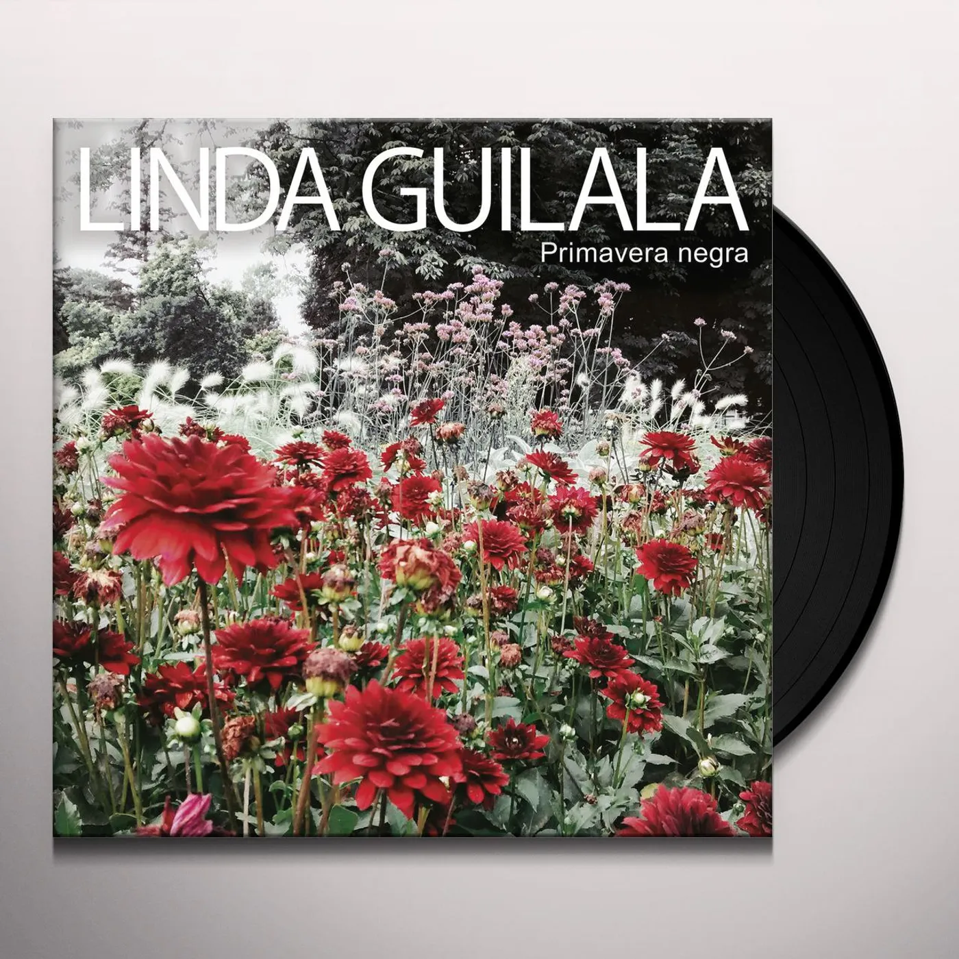 Linda Guilala Primavera Negra Vinyl Record