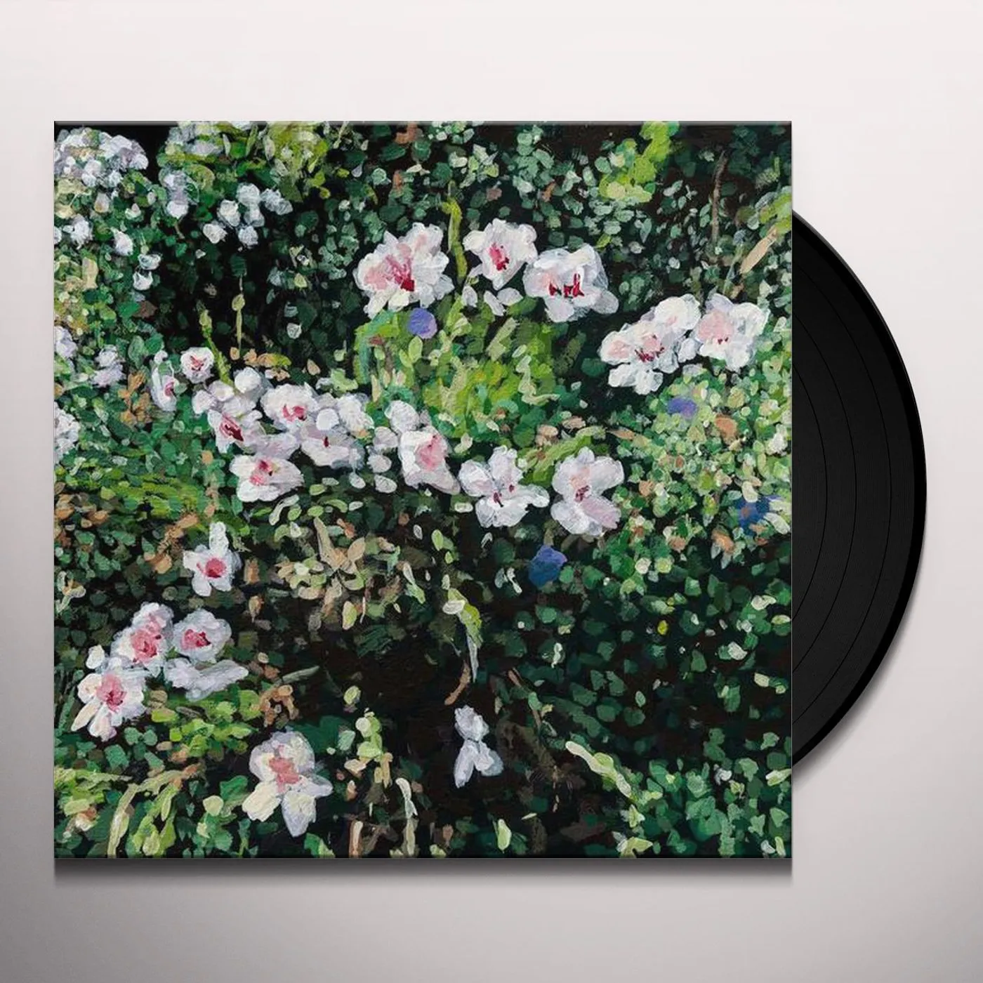 Jess Locke Don't Ask Yourself Why Vinyl Record