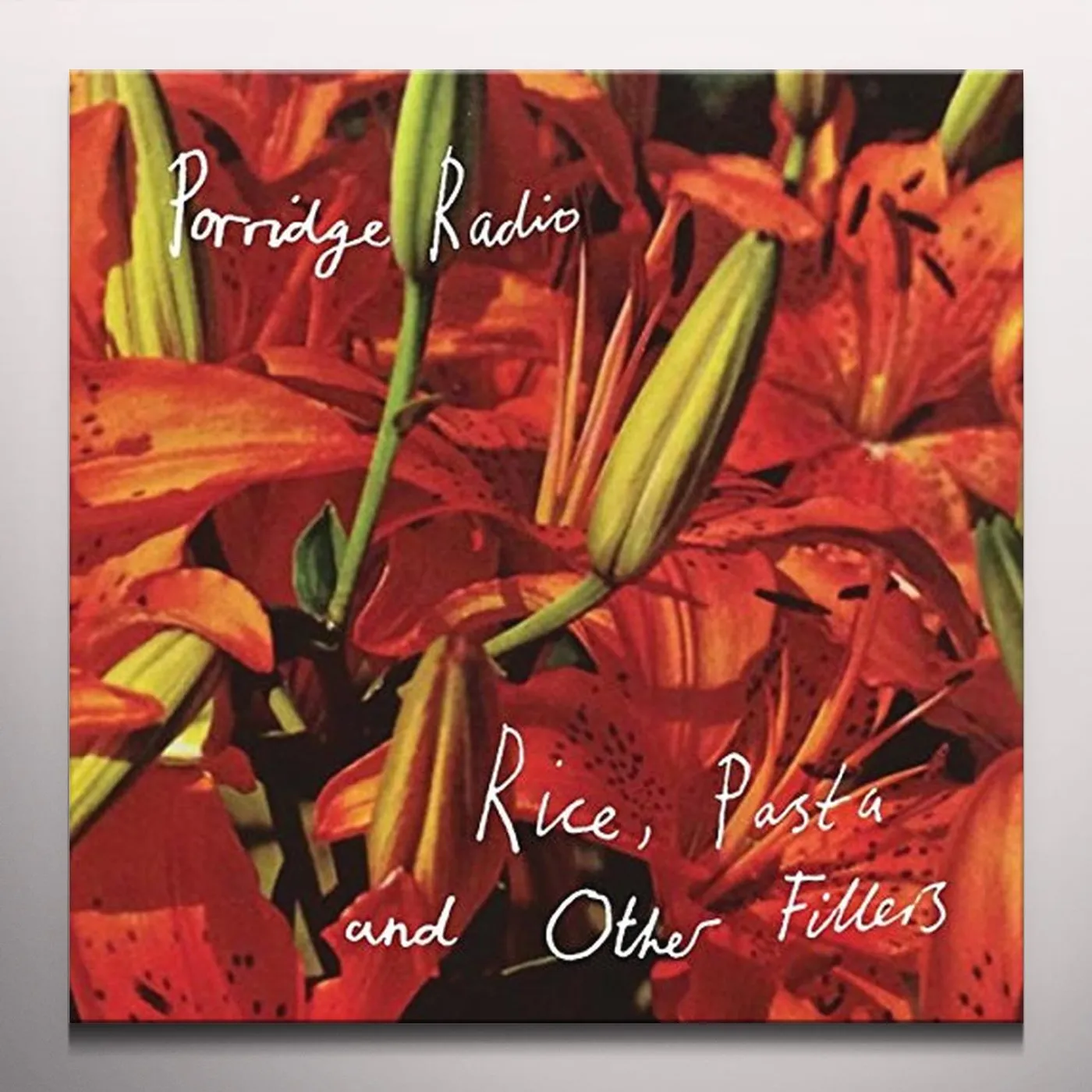 Porridge Radio RICE PASTA & OTHER FILLERS Vinyl Record