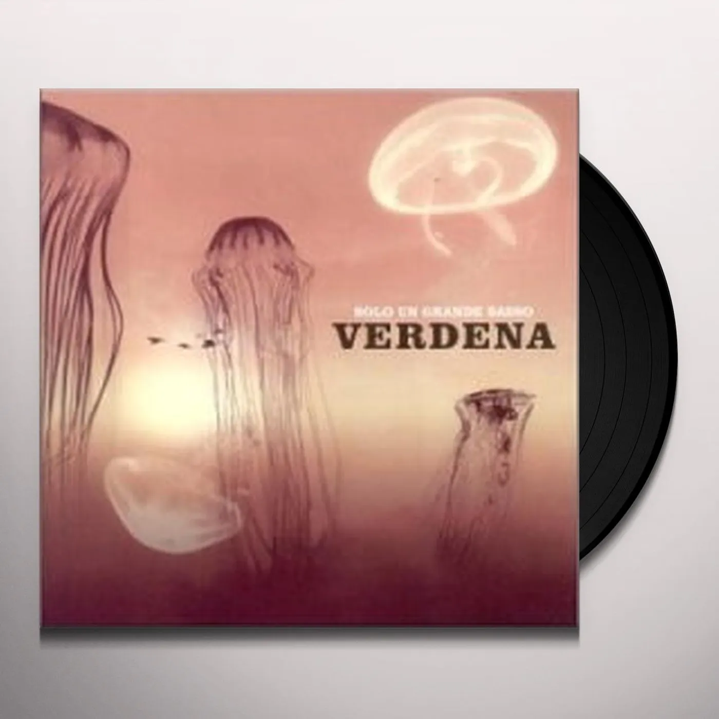 Verdena Solo un grande sasso Vinyl Record