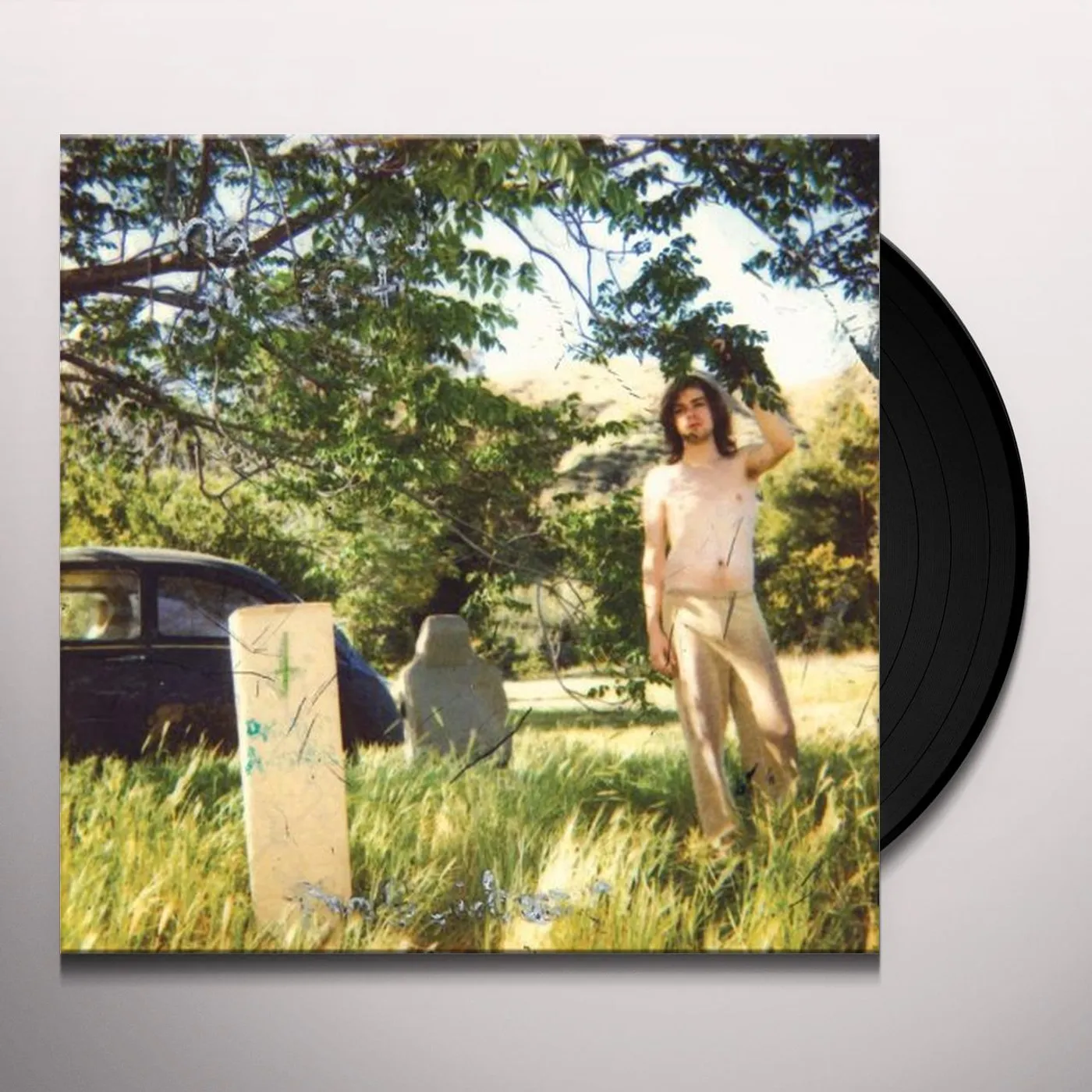 Ariel Pink's Haunted Graffiti DOLDRUMS Vinyl Record