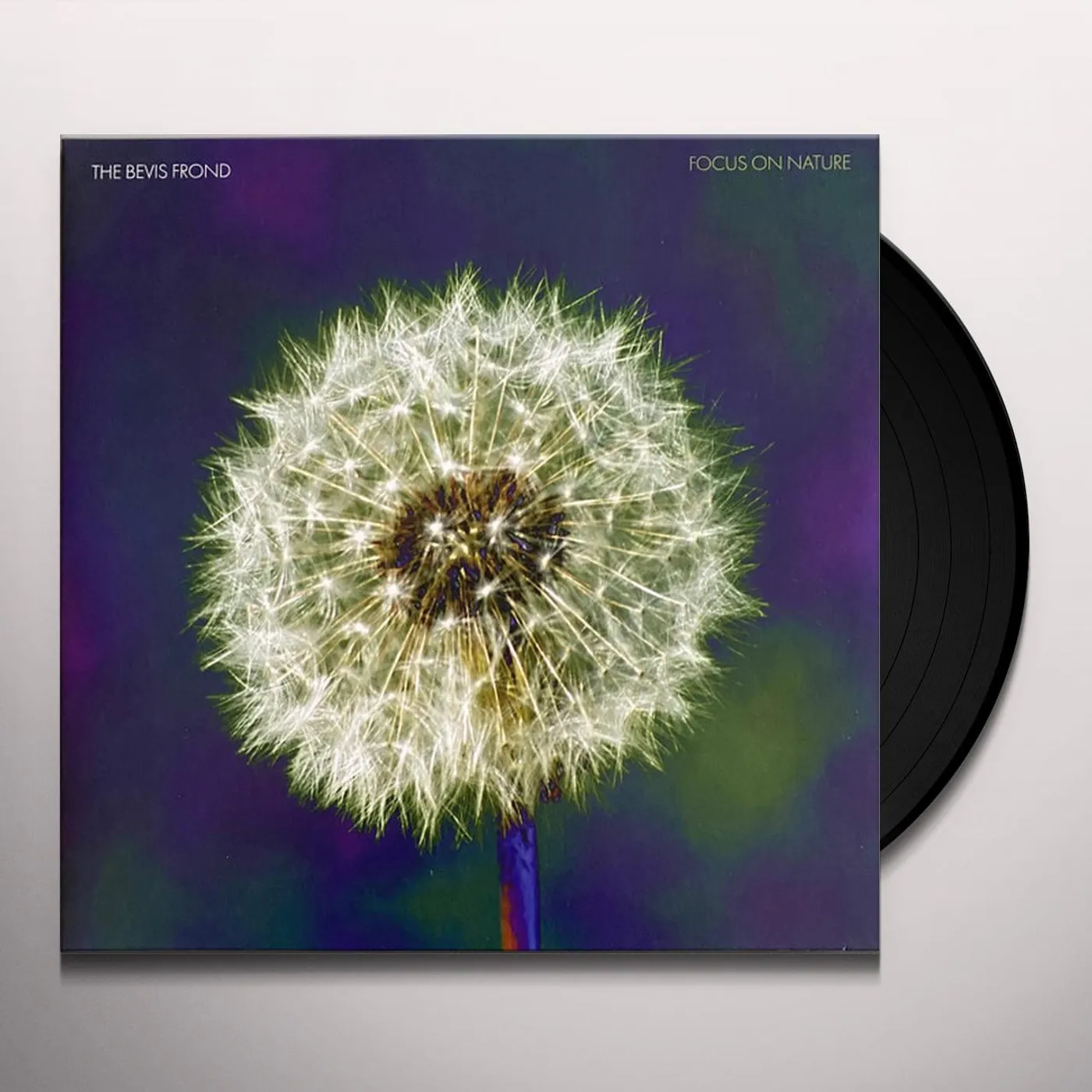 The Bevis Frond FOCUS ON NATURE (2LP) Vinyl Record