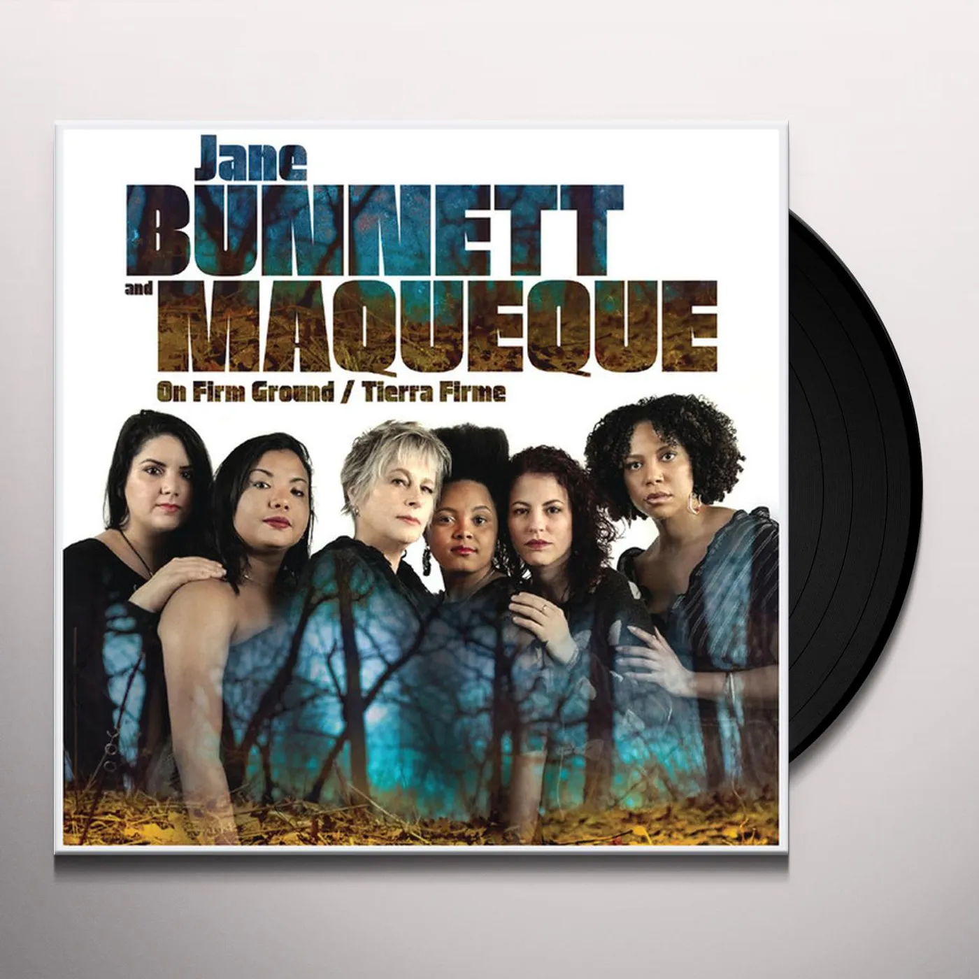 Jane Bunnett ON FIRM GROUND / TIERRA FIRME Vinyl Record