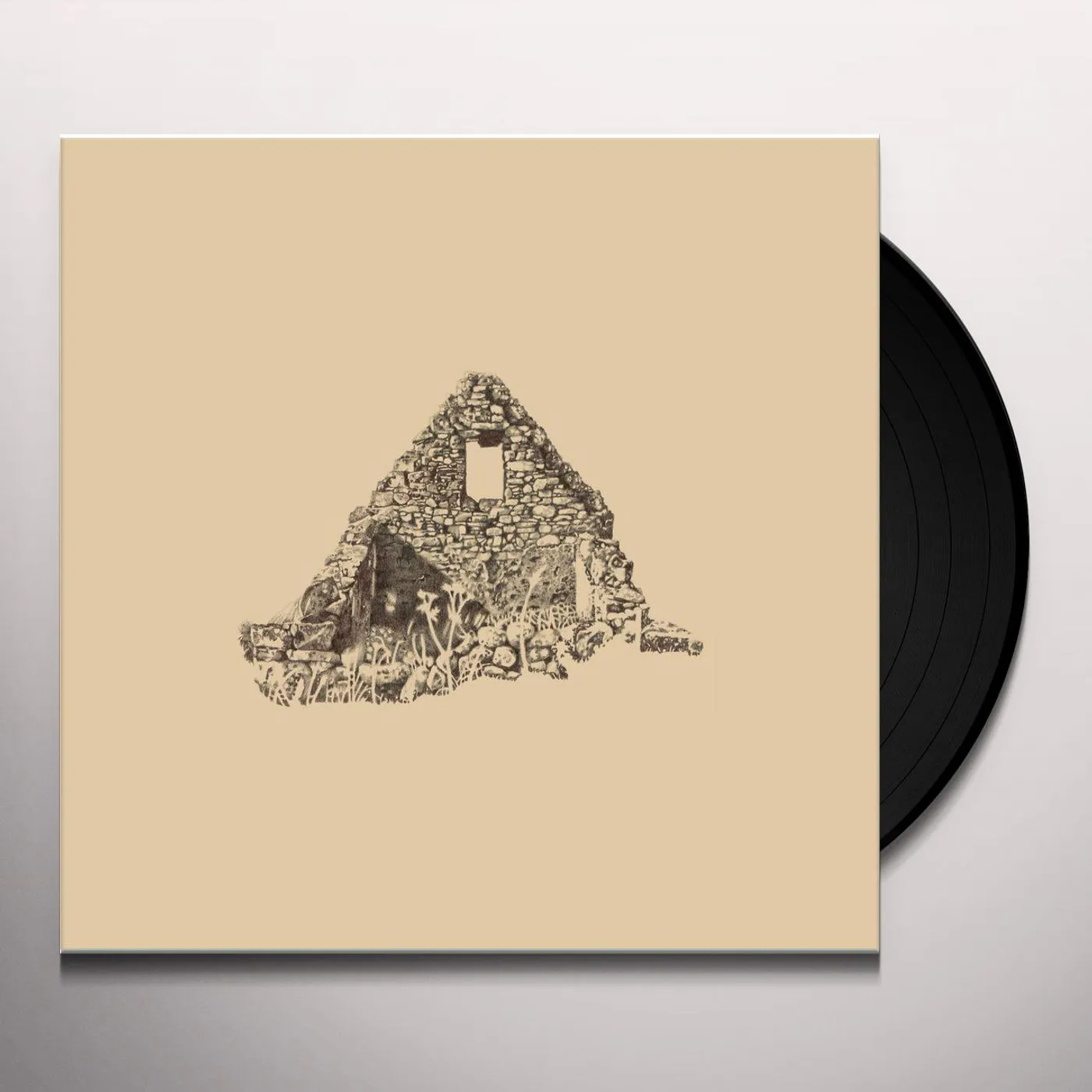 Föhn SEANTEACH Vinyl Record