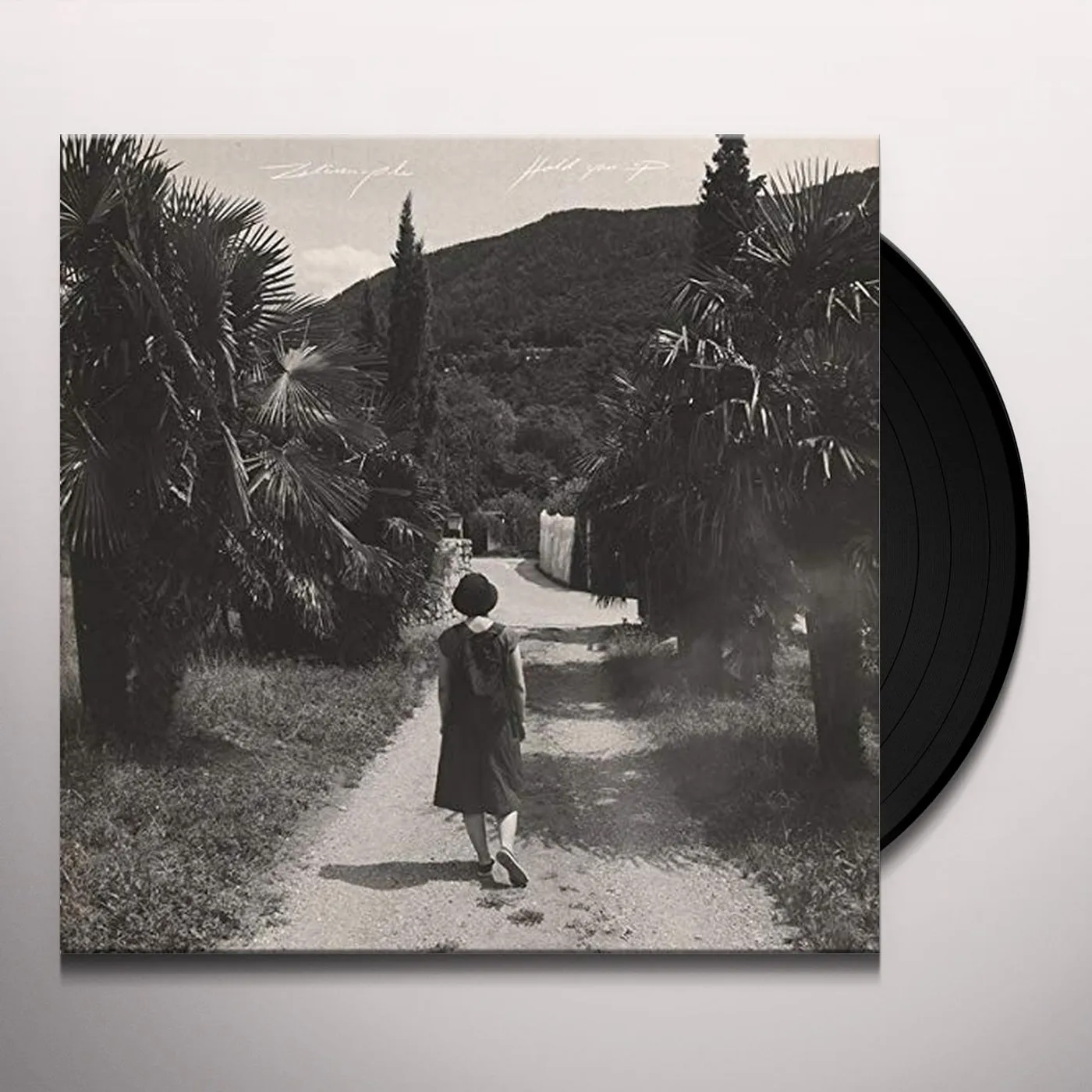 Zelienople Hold You Up Vinyl Record