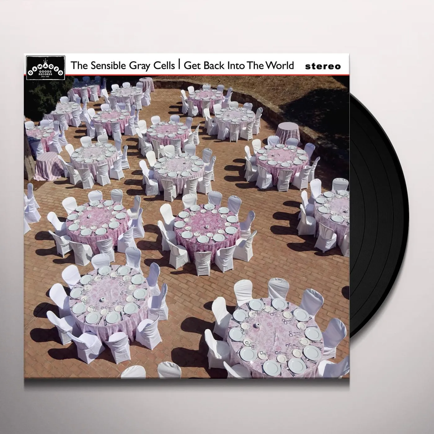 The Sensible Gray Cells Get Back Into The World Vinyl Record