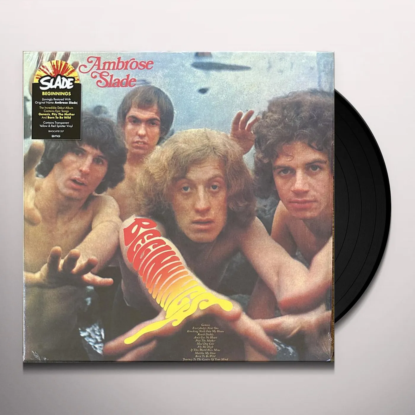 Slade Beginnings Vinyl Record
