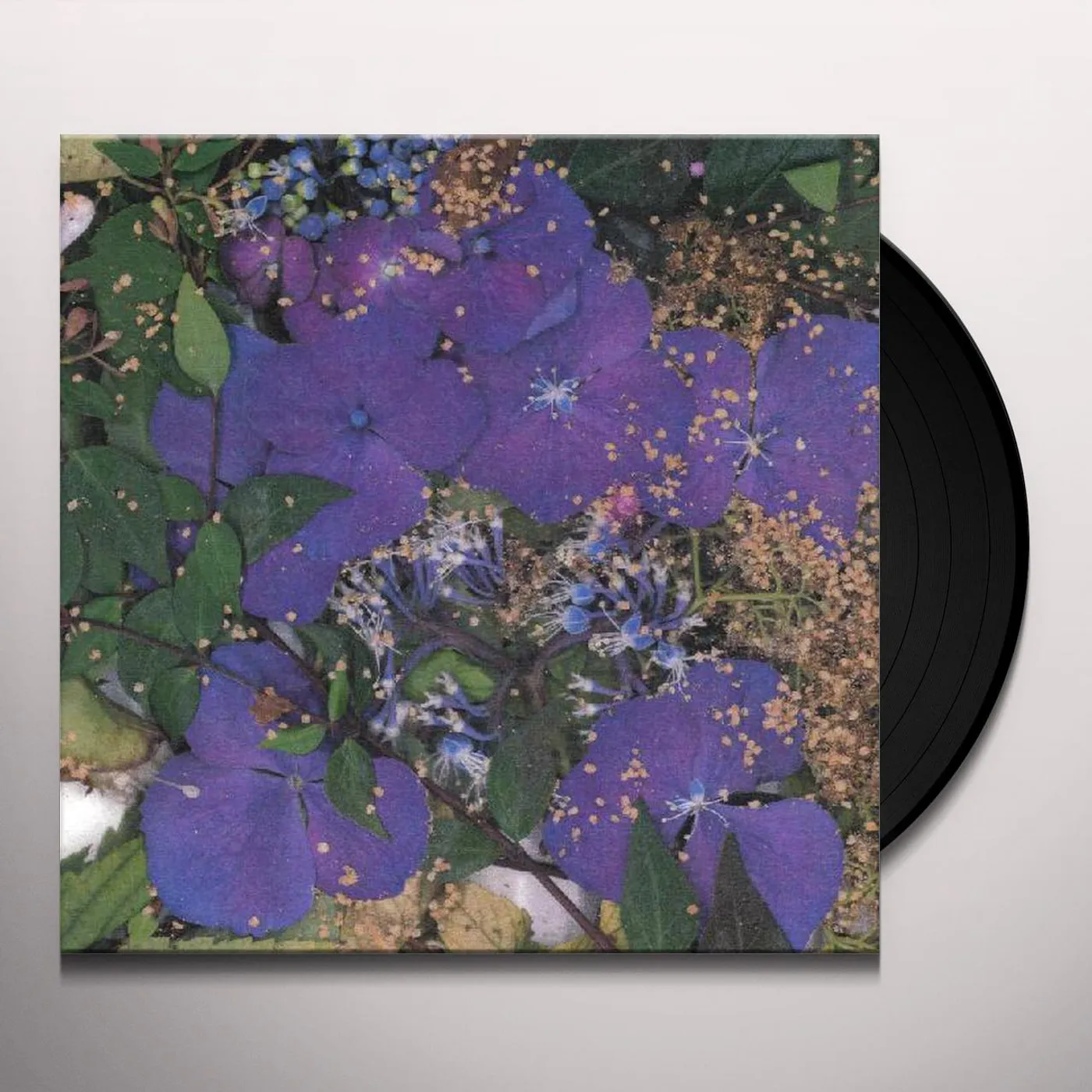 somesurprises Vinyl Record