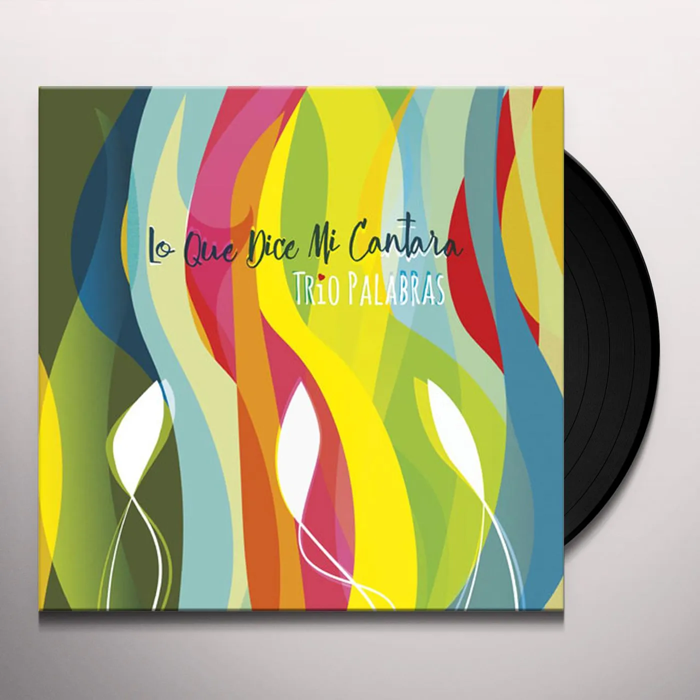 Trío Palabras LO QUE DICE MI CANTAR (180G) Vinyl Record