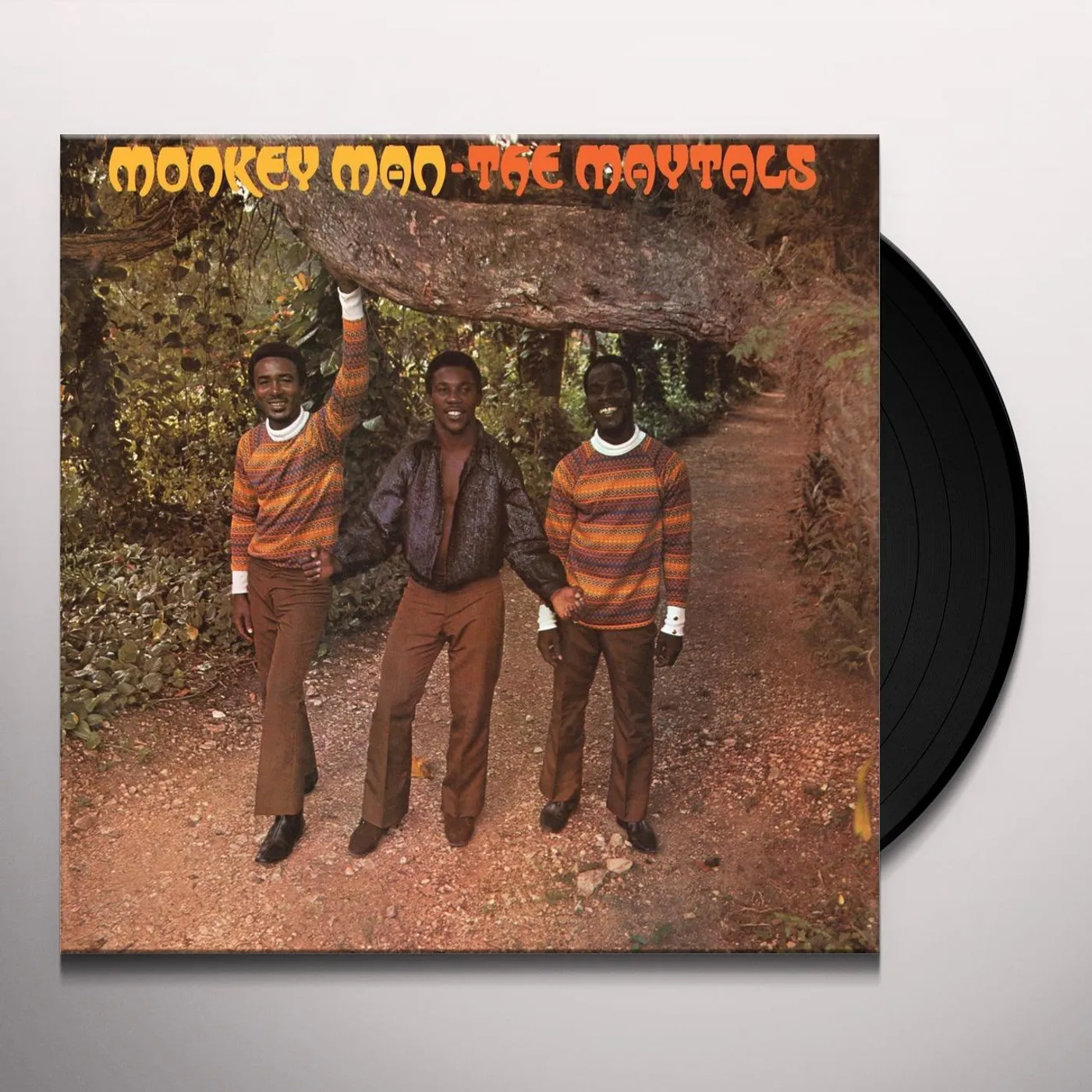 The Maytals Monkey Man Vinyl Record