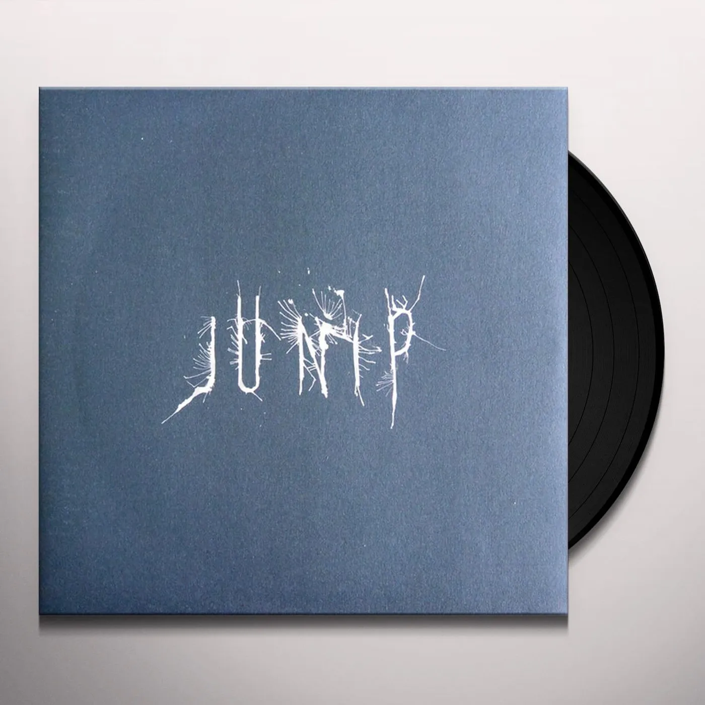 Junip Vinyl Record