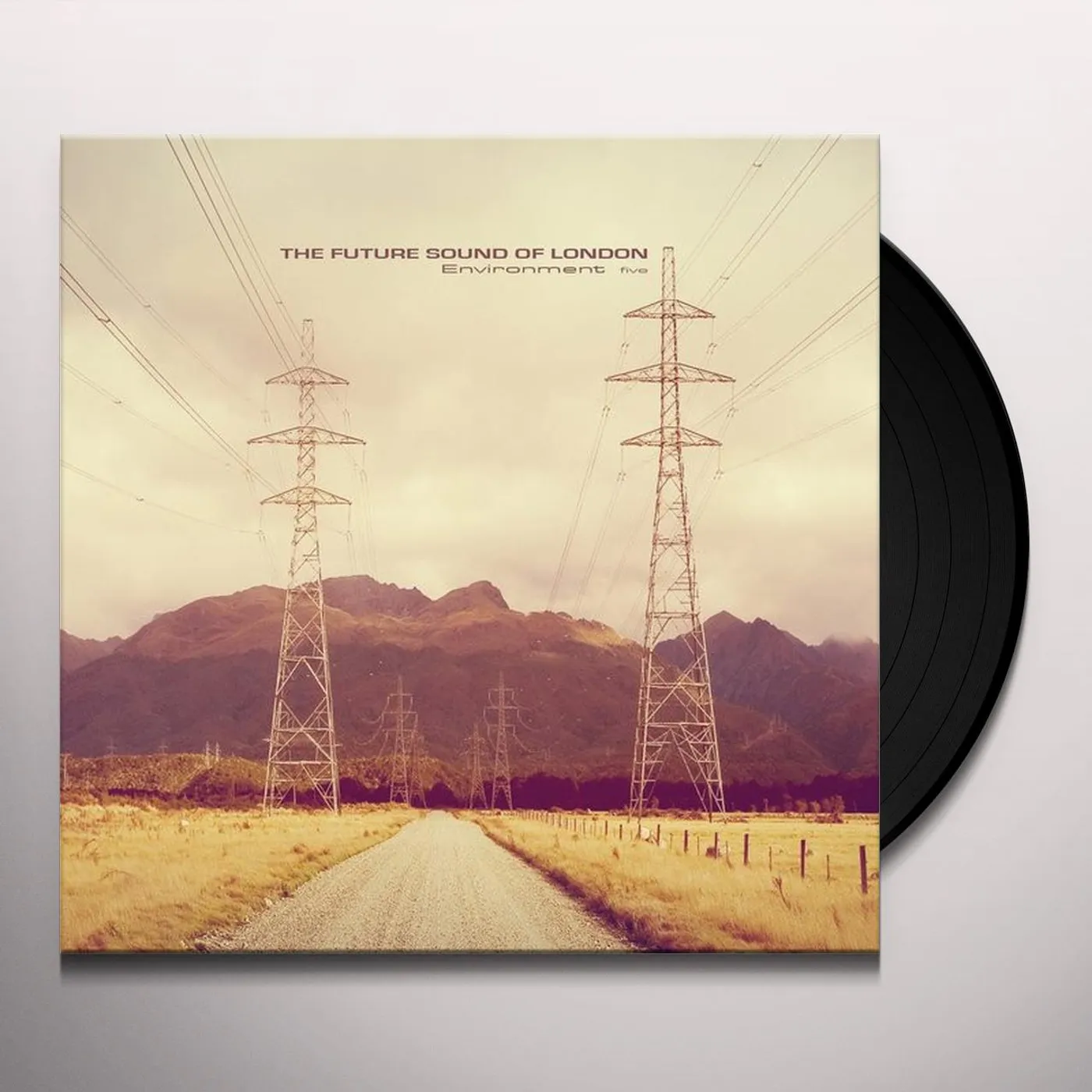 The Future Sound Of London Environment Five Vinyl Record