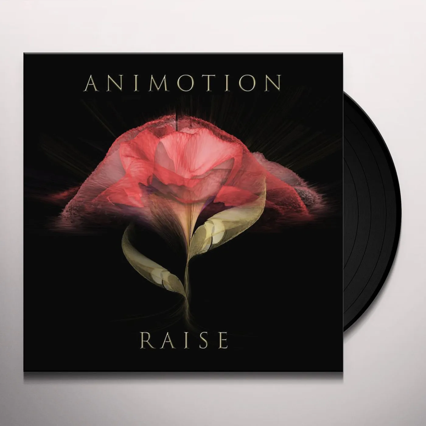 Animotion RAISE YOUR EXPECTATIONS Vinyl Record