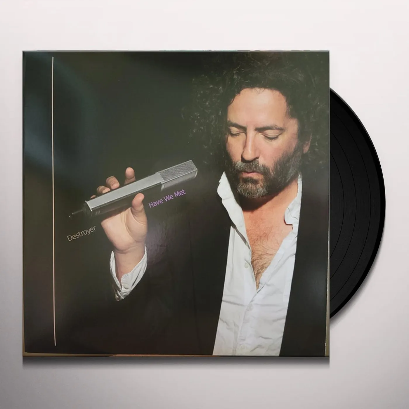 Destroyer HAVE WE MET Vinyl Record