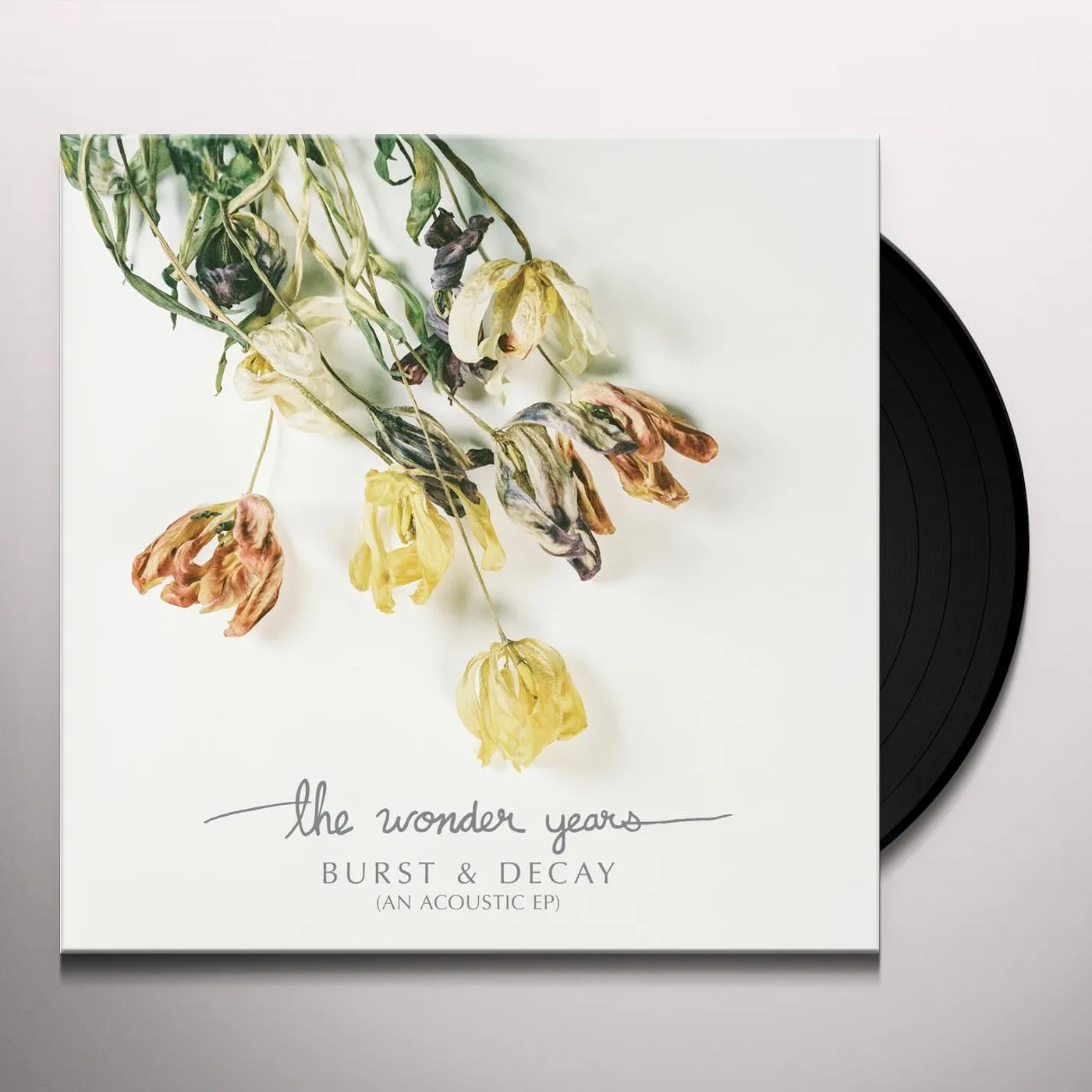 The Wonder Years BURST & DECAY Vinyl Record - Purple Vinyl