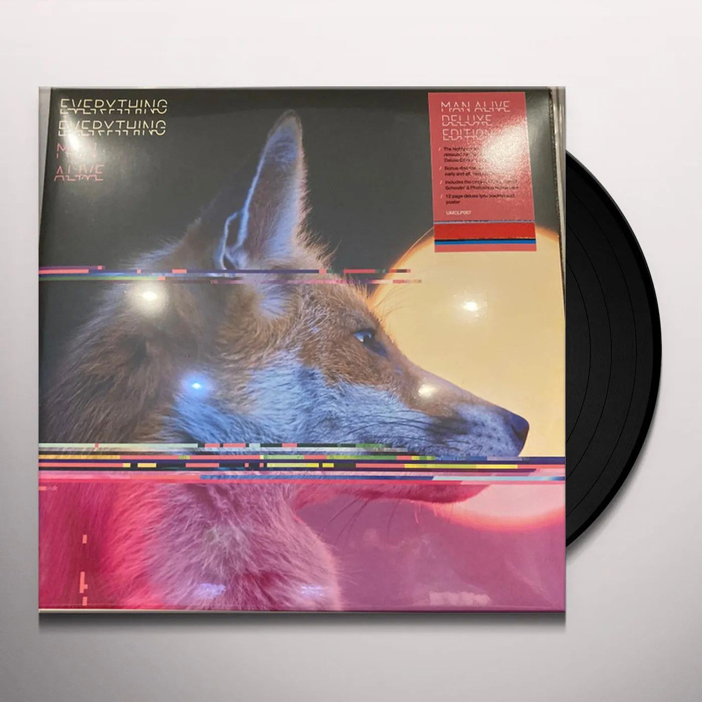 Everything Everything MAN ALIVE (DELUXE EDITION) (2LP) Vinyl Record