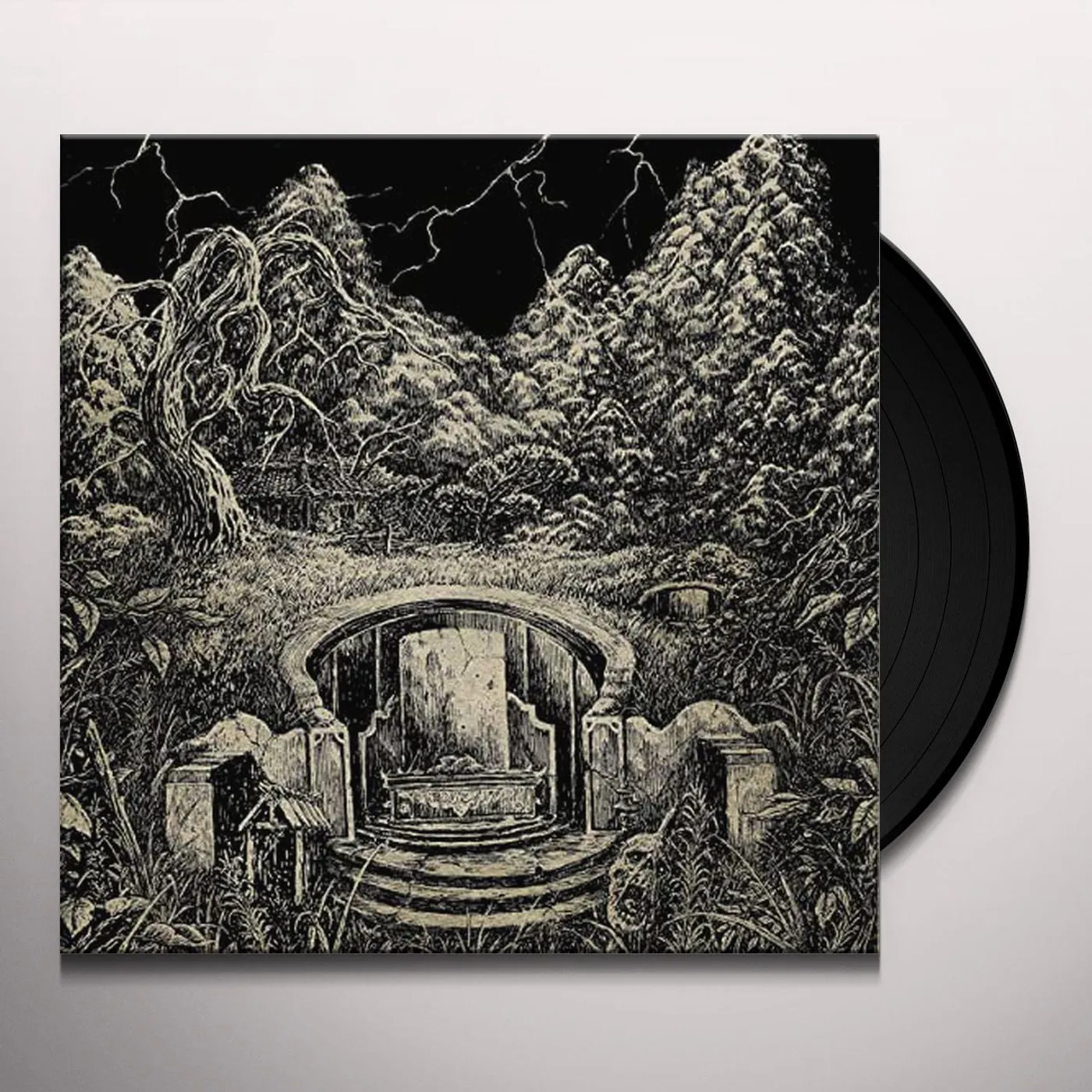 Ripped to Shreds MAI ZANG Vinyl Record