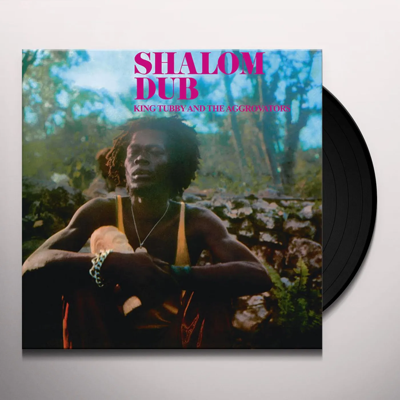 King Tubby & The Aggrovators Shalom Dub Vinyl Record