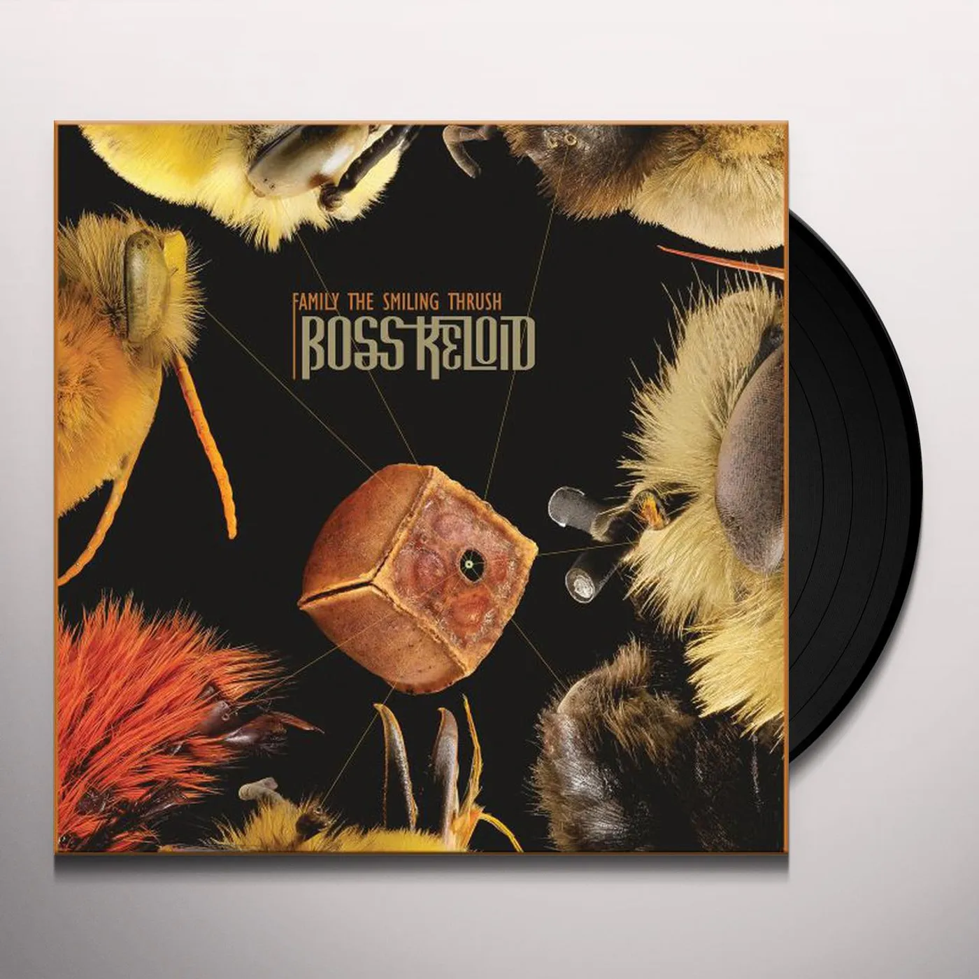 Boss Keloid Family The Smiling Thrush Vinyl Record