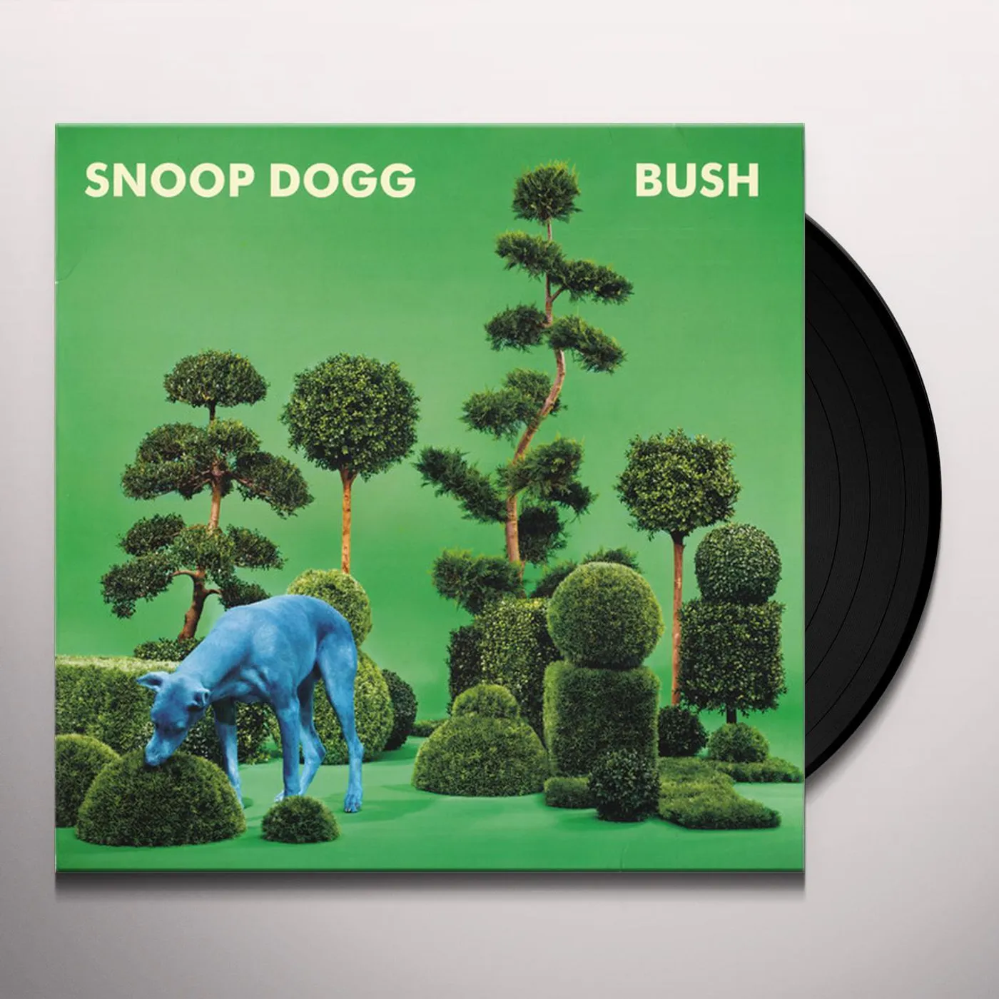 Snoop Dogg Bush Vinyl Record