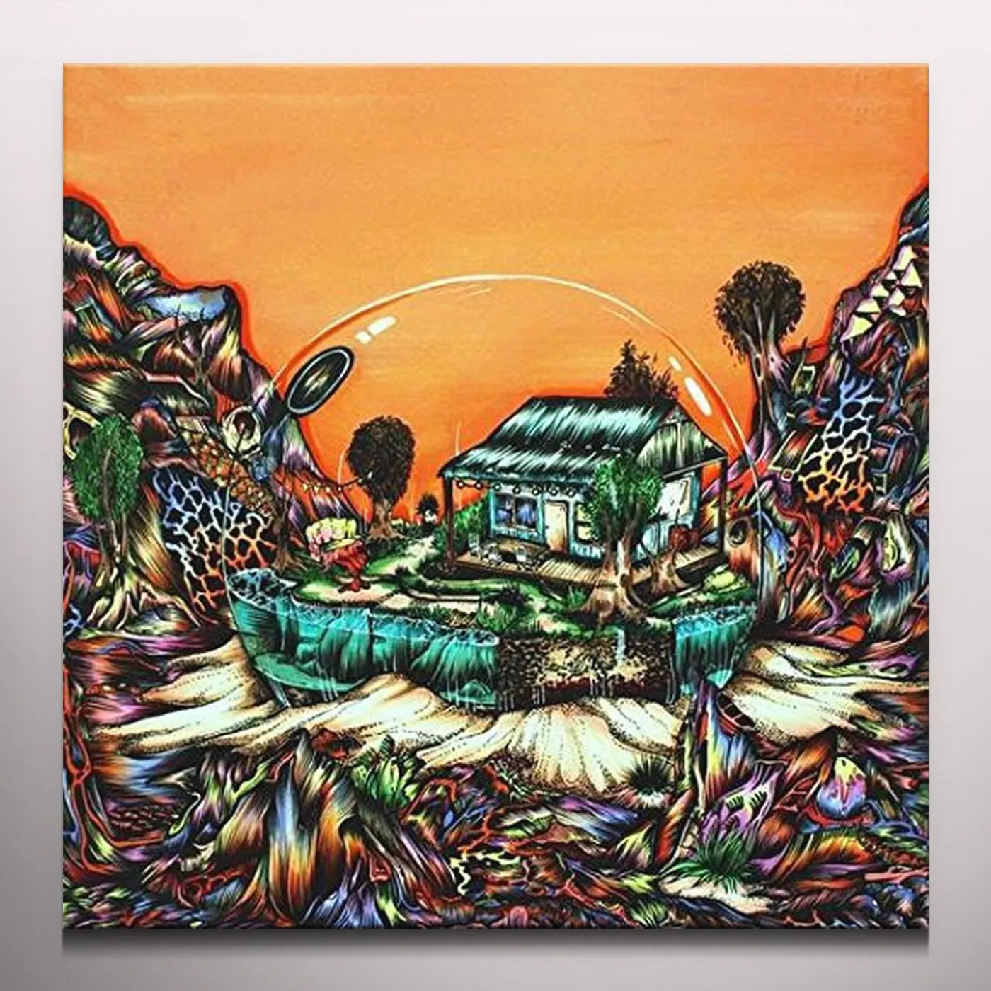 Koi Child Vinyl Record