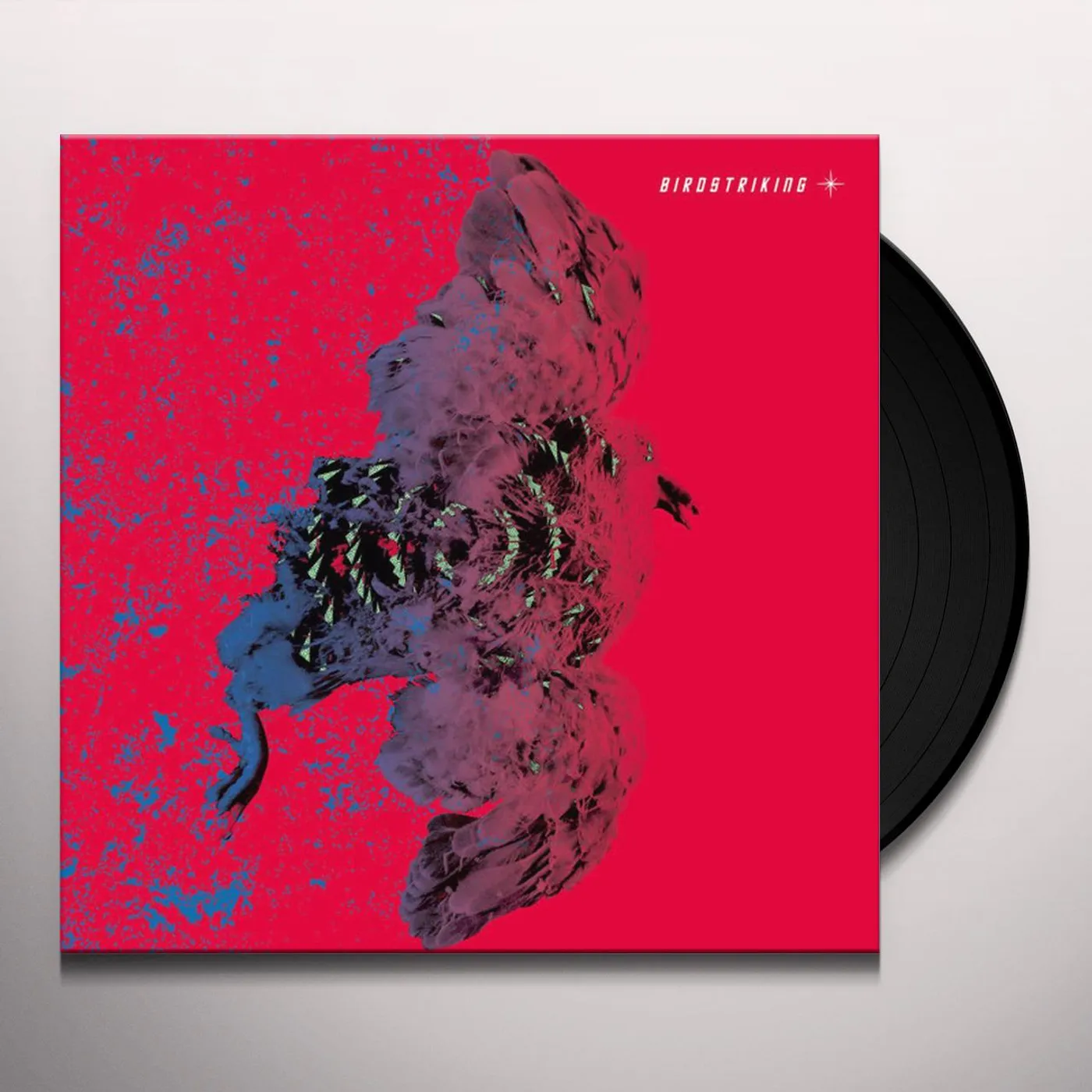 Birdstriking Vinyl Record