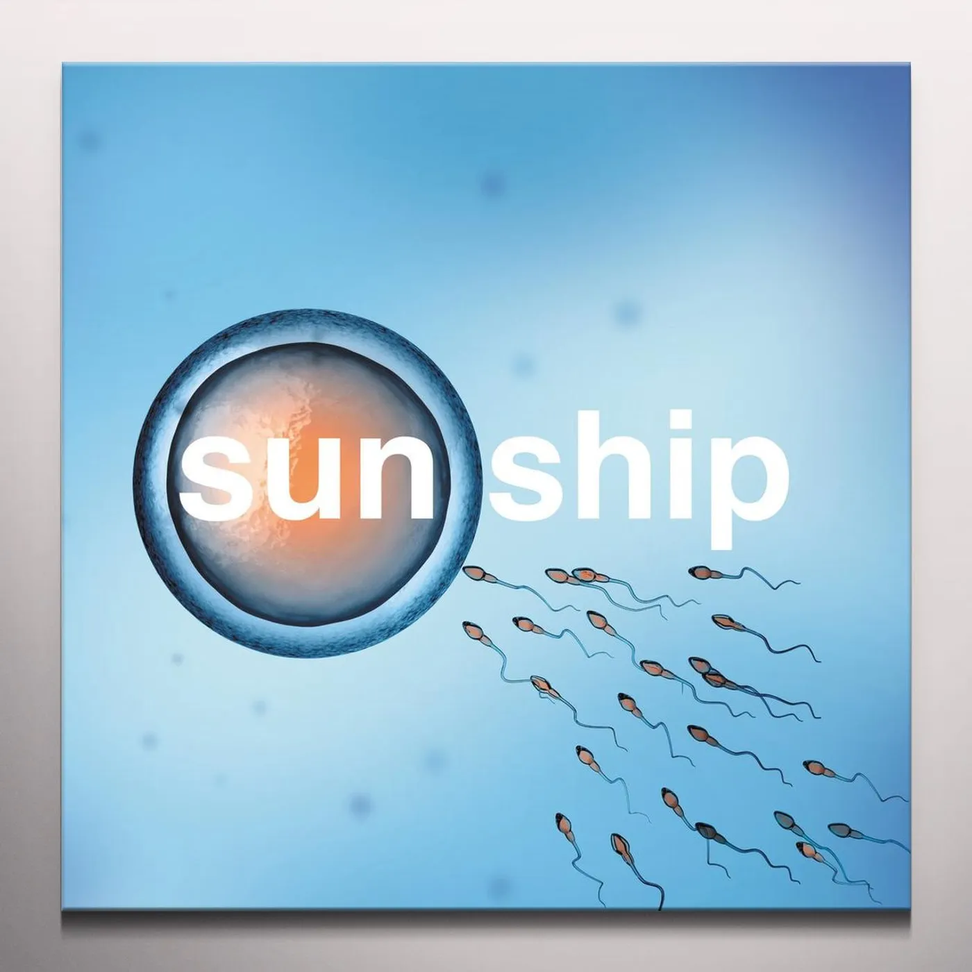 The Brian Jonestown Massacre SUN SHIP Vinyl Record