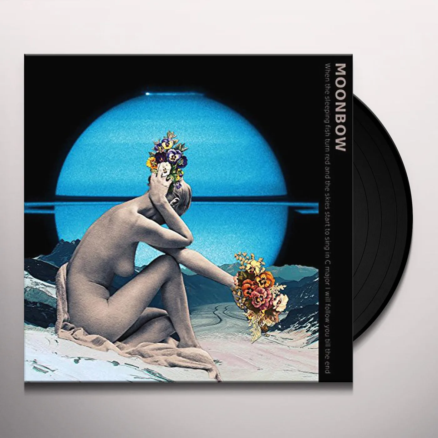 Moonbow Vinyl Record