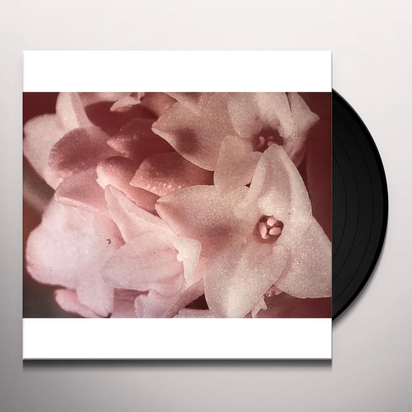 Masonna Vs. Bananamara Vinyl Record