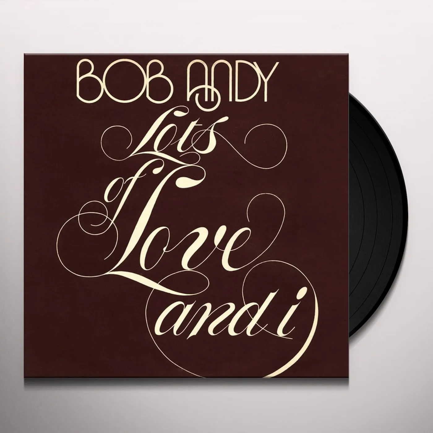 Bob Andy Lots of Love and I Vinyl Record