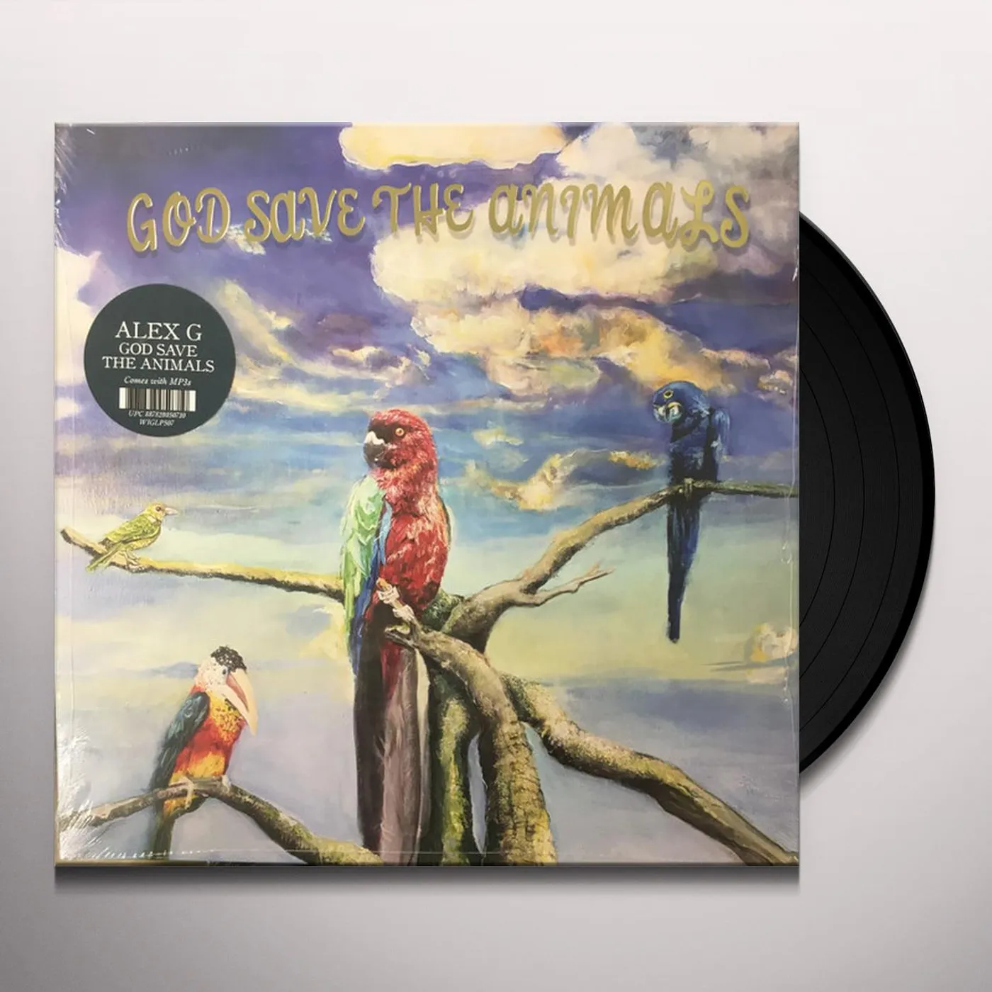 Alex G God Save The Animals Vinyl Record