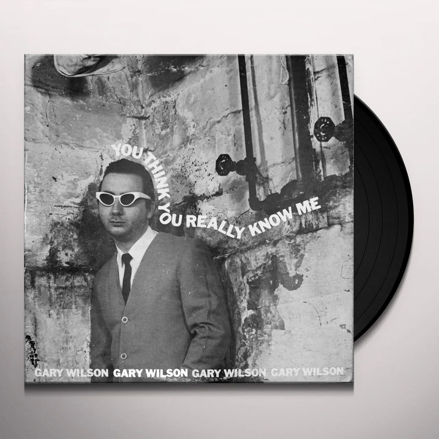 Gary Wilson You Think You Really Know Me Vinyl Record