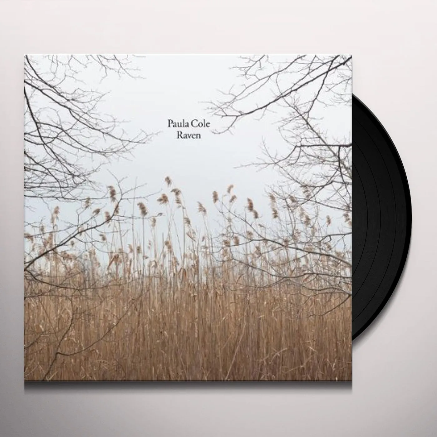 Paula Cole Raven Vinyl Record