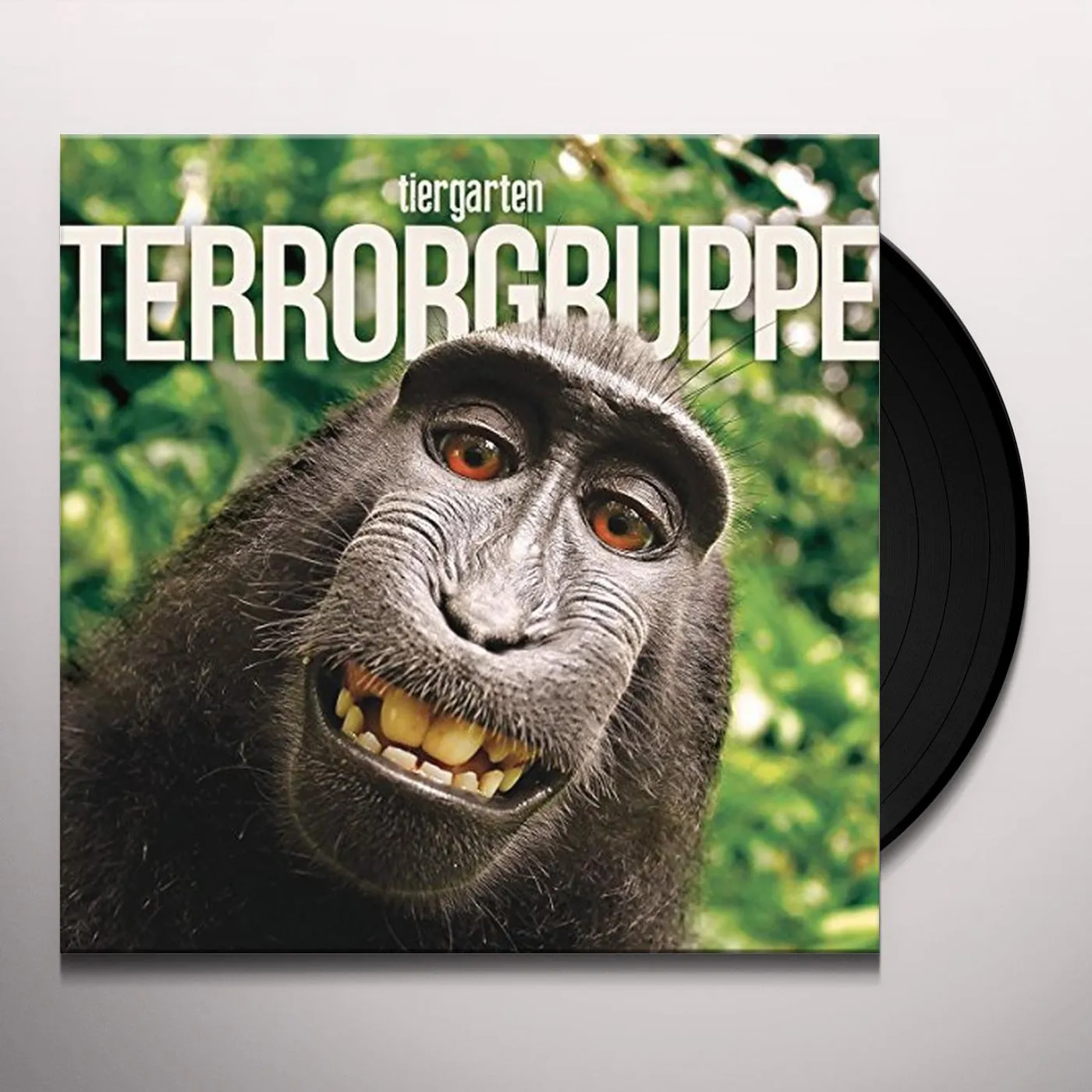 Terrorgruppe Tiergarten Vinyl Record