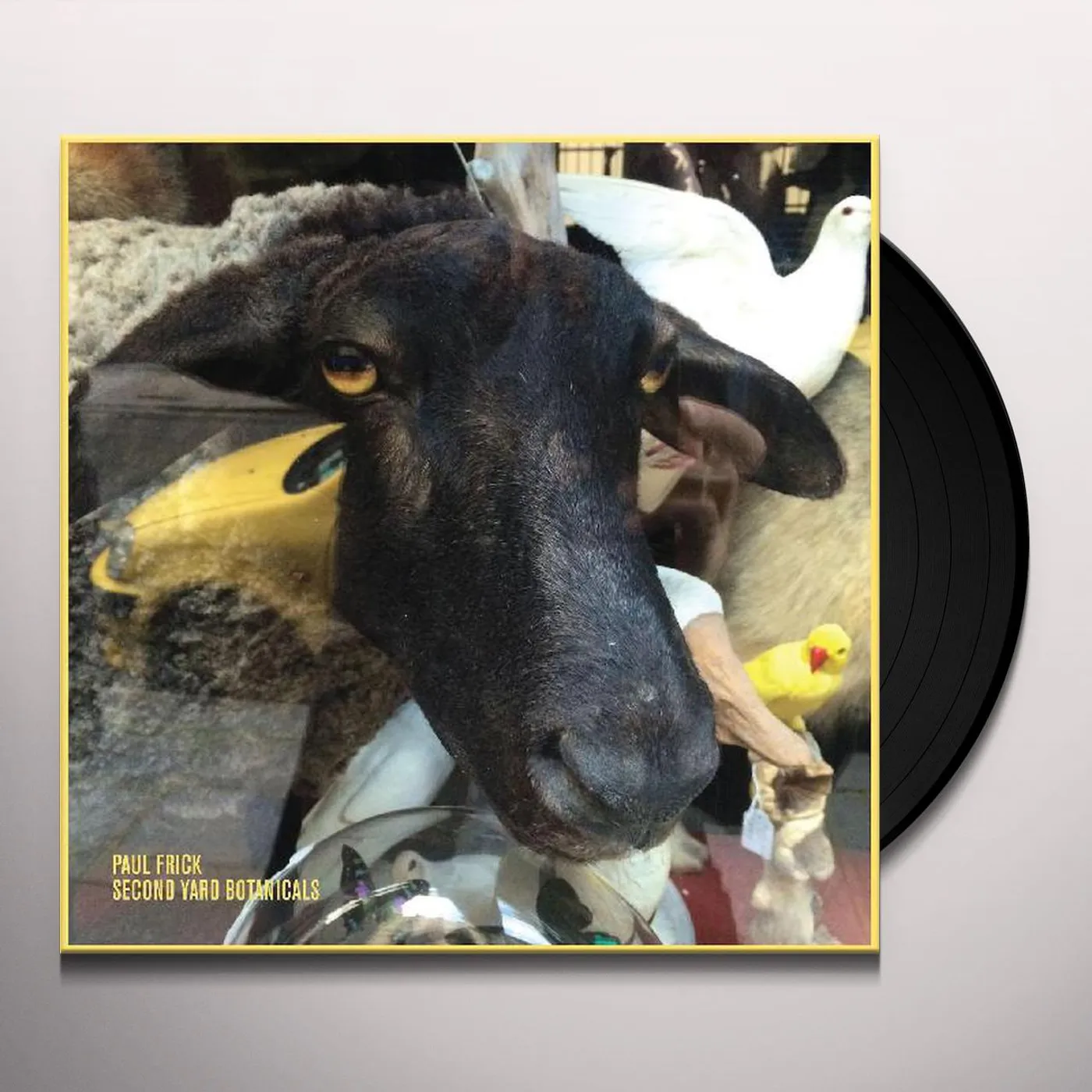 Paul Frick Second Yard Botanicals Vinyl Record
