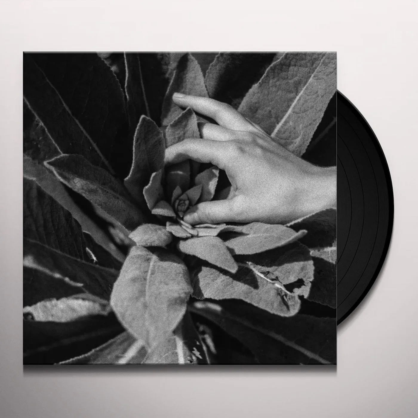 Nanook of The North Heide (180g) Vinyl Record