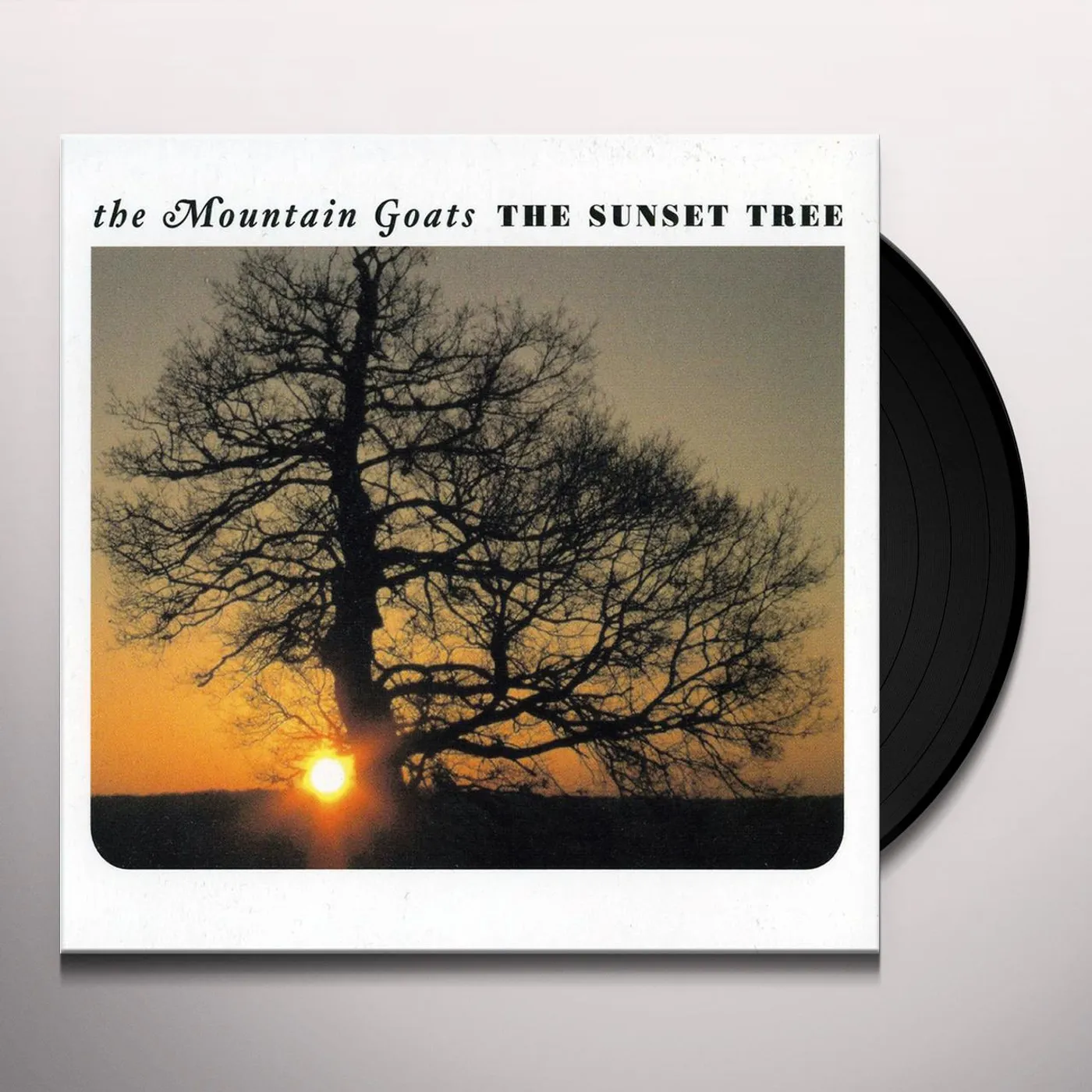 The Mountain Goats SUNSET TREE Vinyl Record
