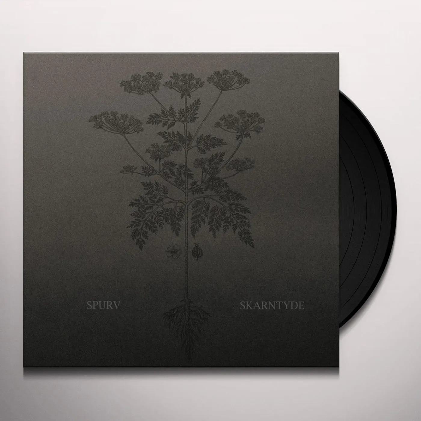 Spurv Skarntyde Vinyl Record