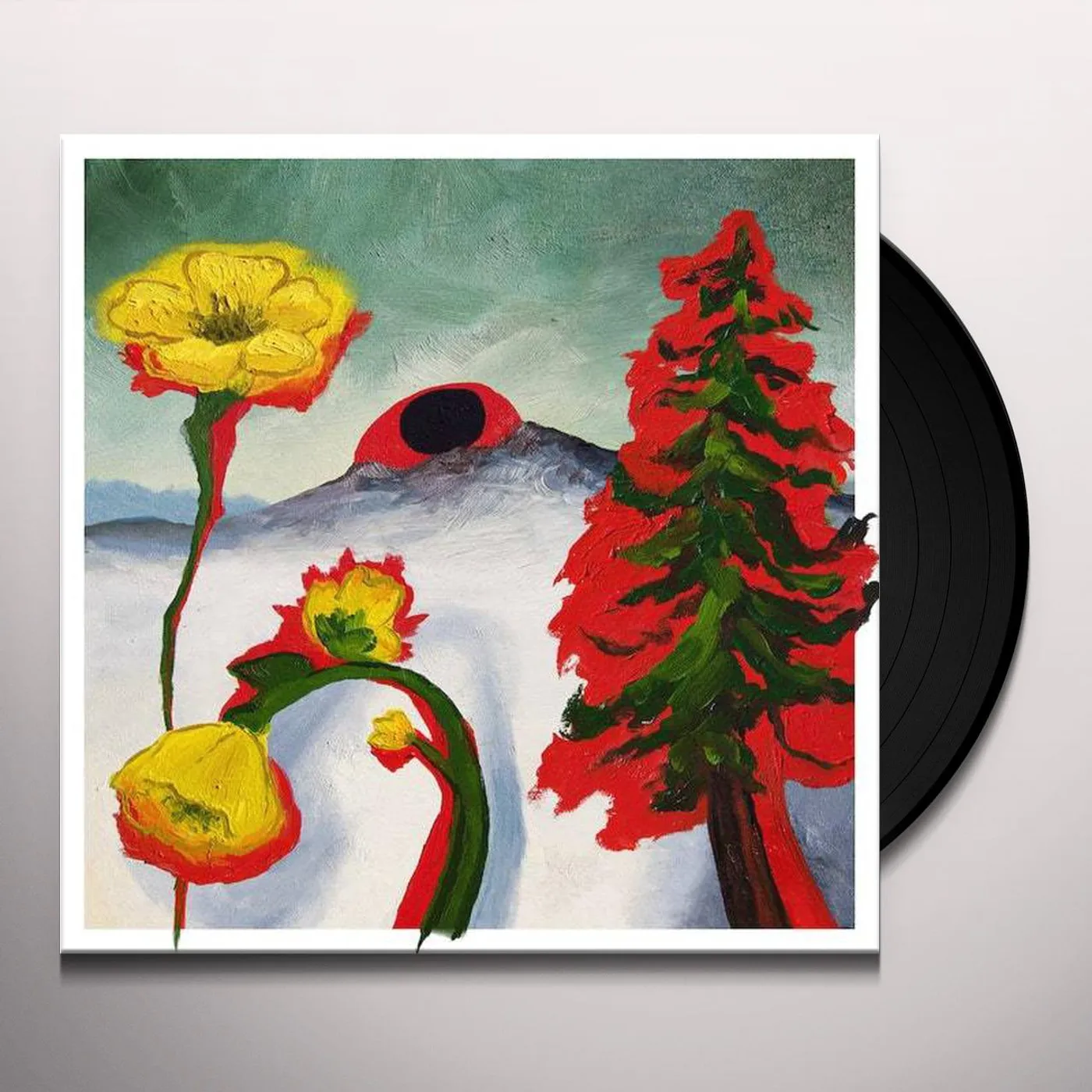 Woods Strange to Explain Vinyl Record