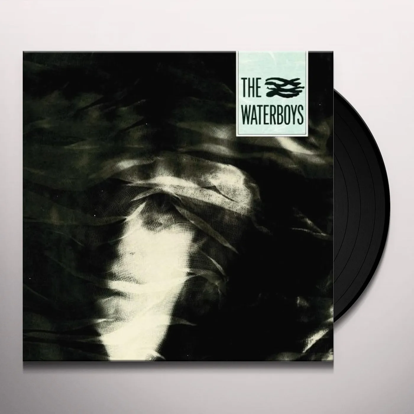 The Waterboys Vinyl Record