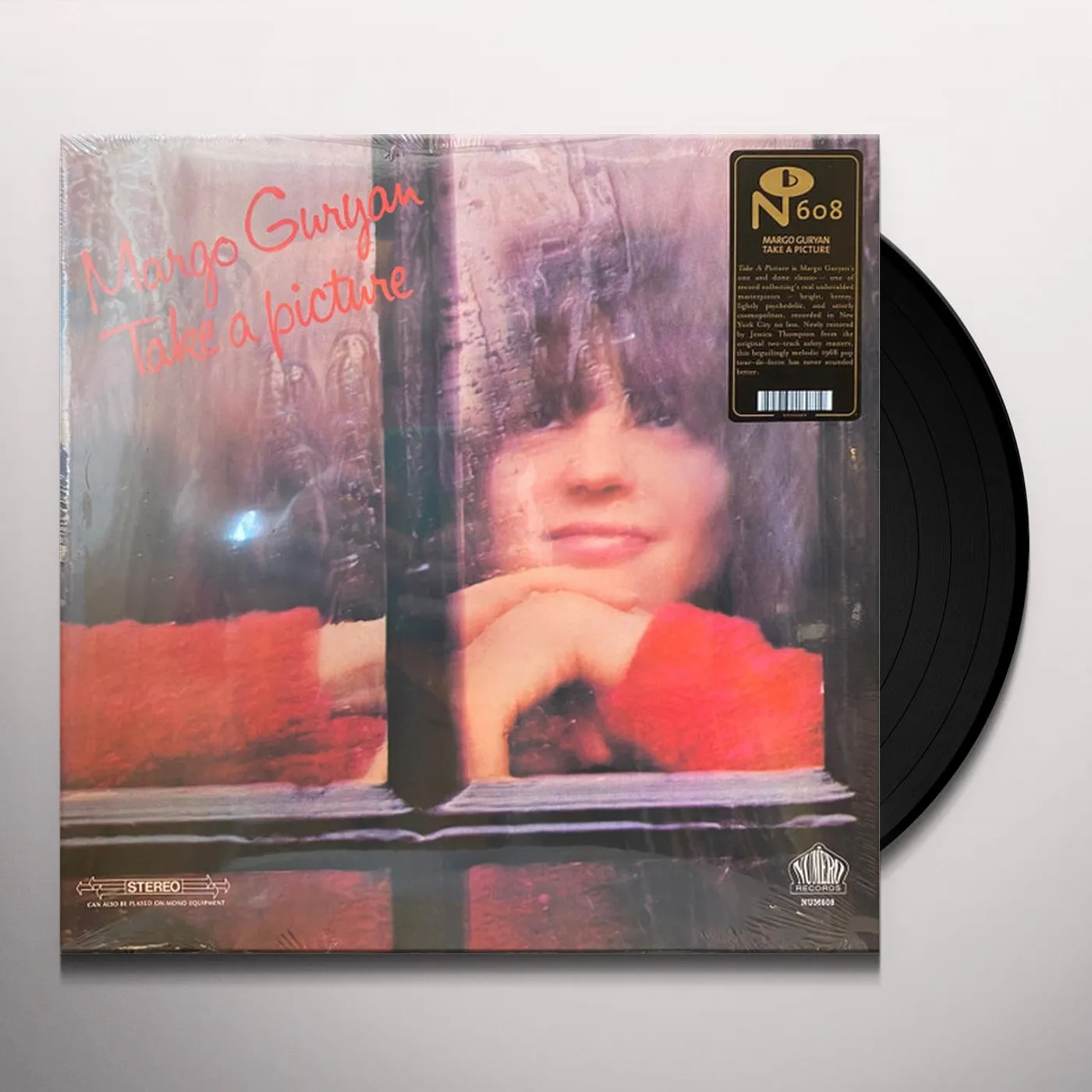 Margo Guryan TAKE A PICTURE Vinyl Record