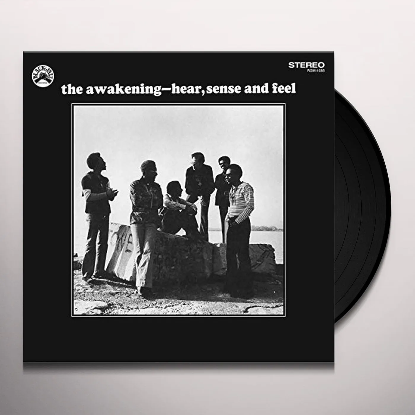 The Awakening HEAR SENSE & FEEL Vinyl Record
