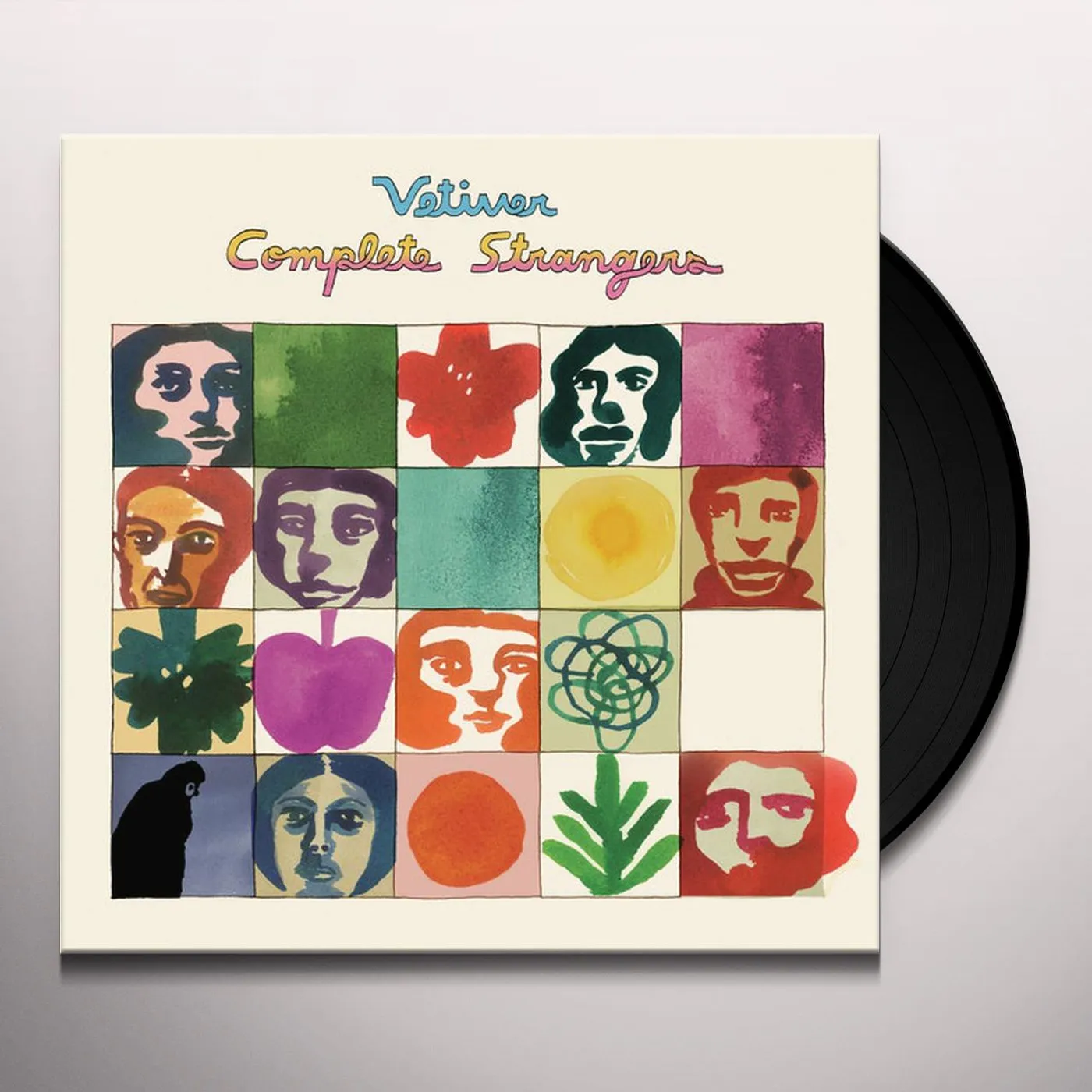 Vetiver Complete Strangers Vinyl Record